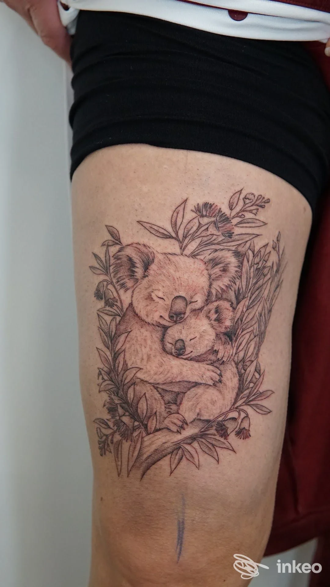Tatuaggio sulla coscia con due koala abbracciati e fogliame, foto inviata da La Corte dei Miracoli Tattoo & Piercing a Bovolone.