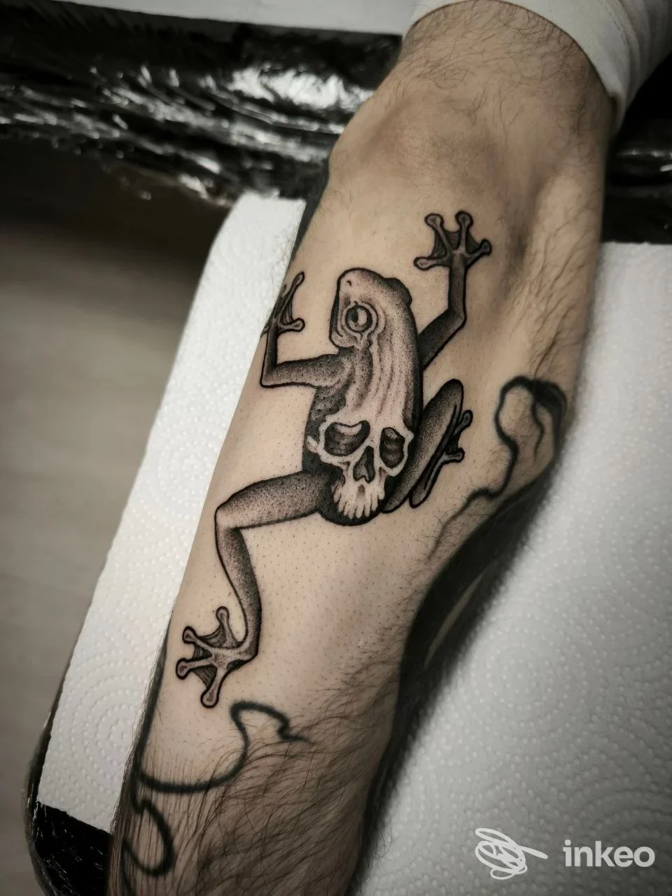 Tatuaggio blackwork su avambraccio con rana-stile teschio, foto fornita da La Torre Tattoo Studio, San Vito di Leguzzano.