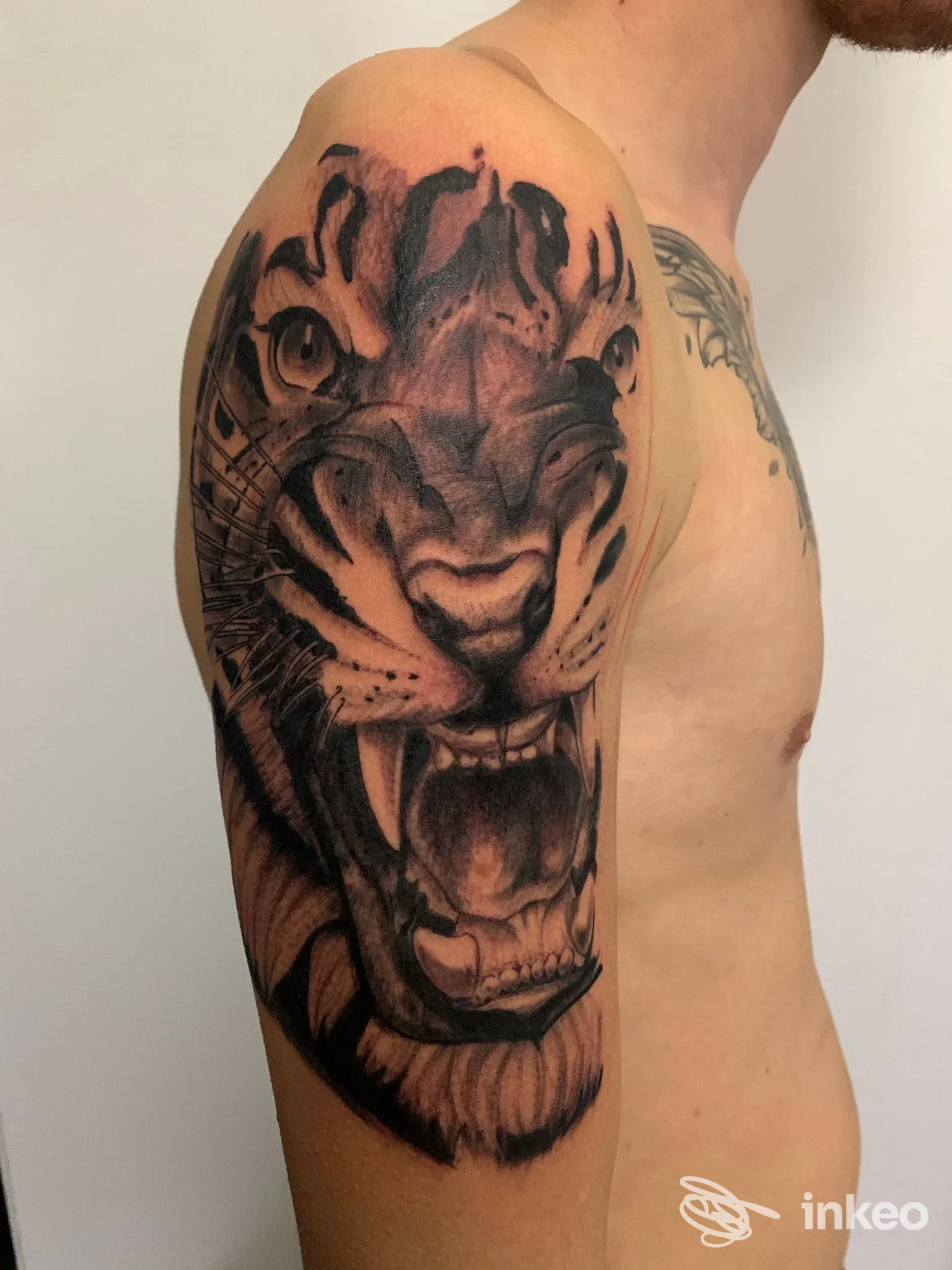 Grande tatuaggio realistico in bianco e nero di una testa di tigre sul braccio e spalla, Le Maxim - Tattoo Studio, Castelfranco Veneto.