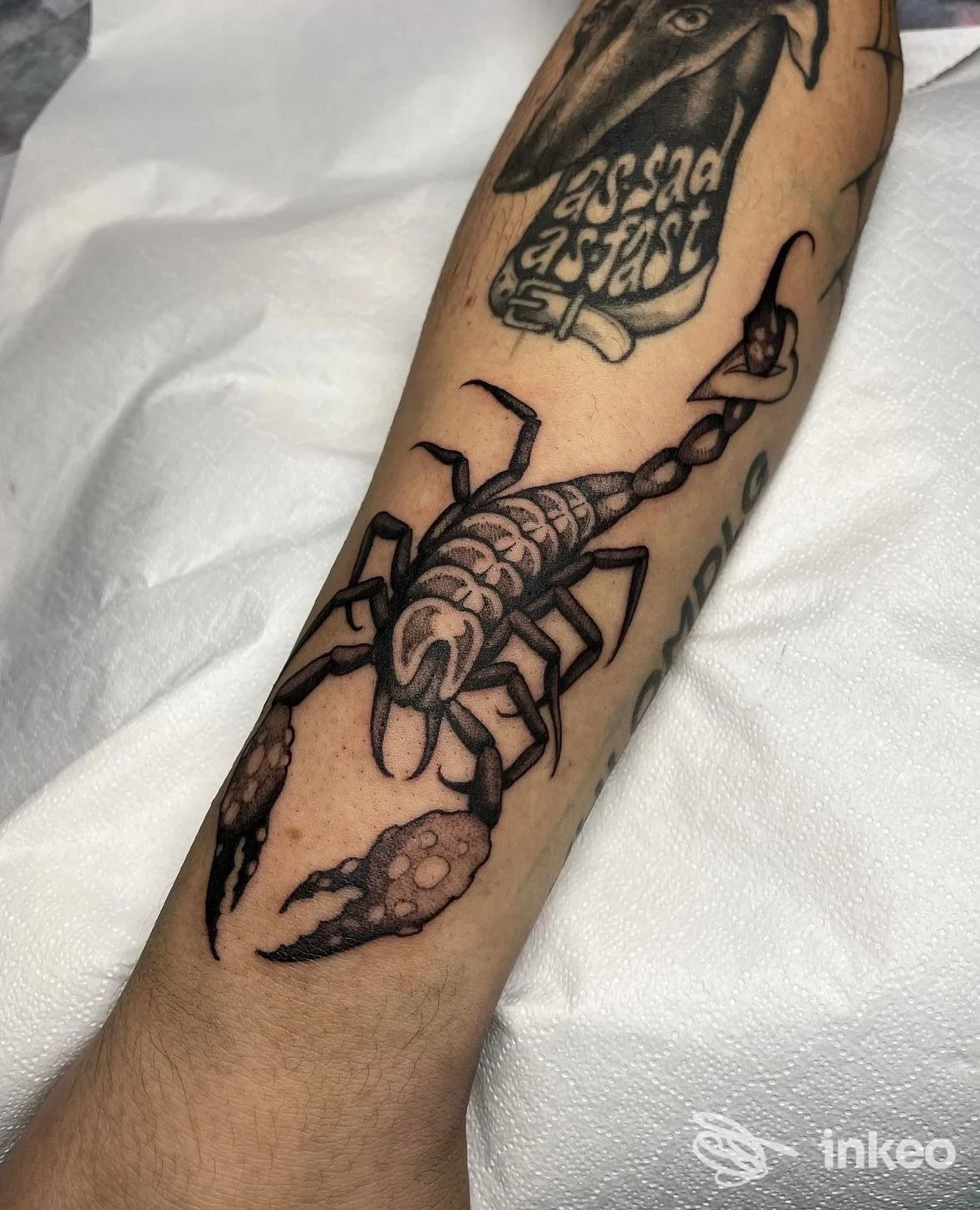 Primo piano di un avambraccio con un tatuaggio a scorpione nero, immagine fornita dallo studio MadSurgery Tattoo a Preganziol.
