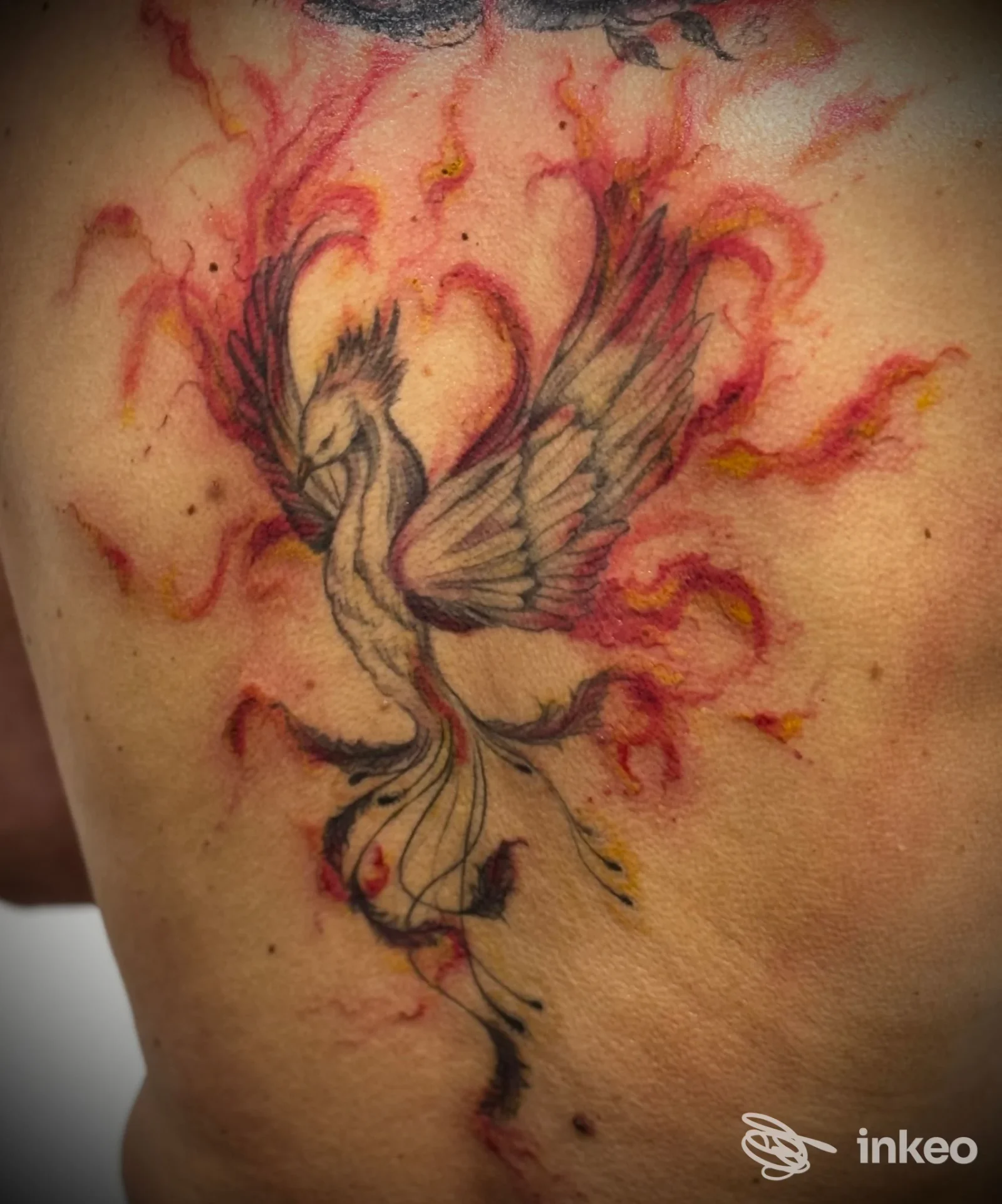 Tatuaggio a forma di fenice colorata sulla parte superiore della schiena, foto dello studio Mara Tattoo Noventa di Piave.