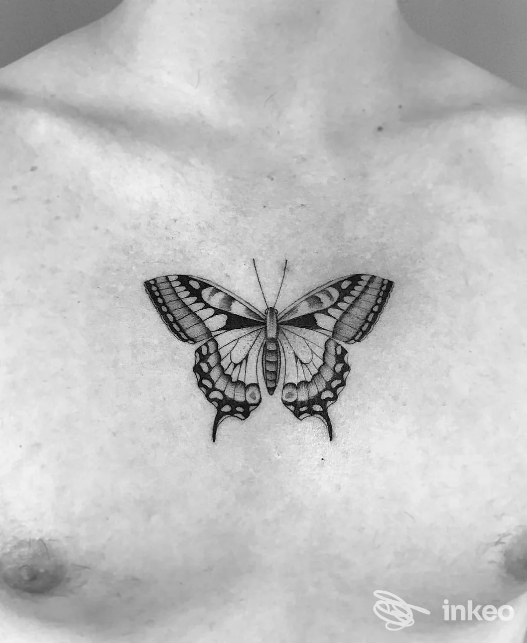 Tatuaggio farfalla in bianco e nero al centro dello sterno, fotografia del lavoro per Matteo Berna Tattoo Studio, Cornedo Vicentino.