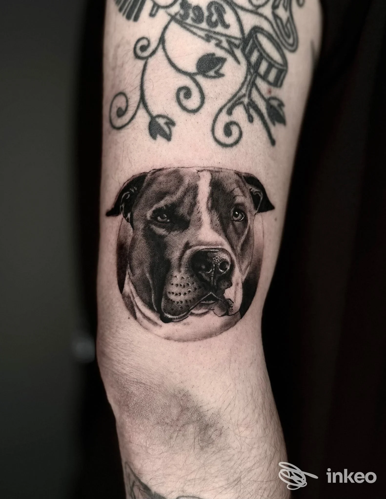 Ritratto realistico di cane tatuato sull'avambraccio, fotografato in primo piano. No Pain Tattoo Studio, Rossano Veneto.