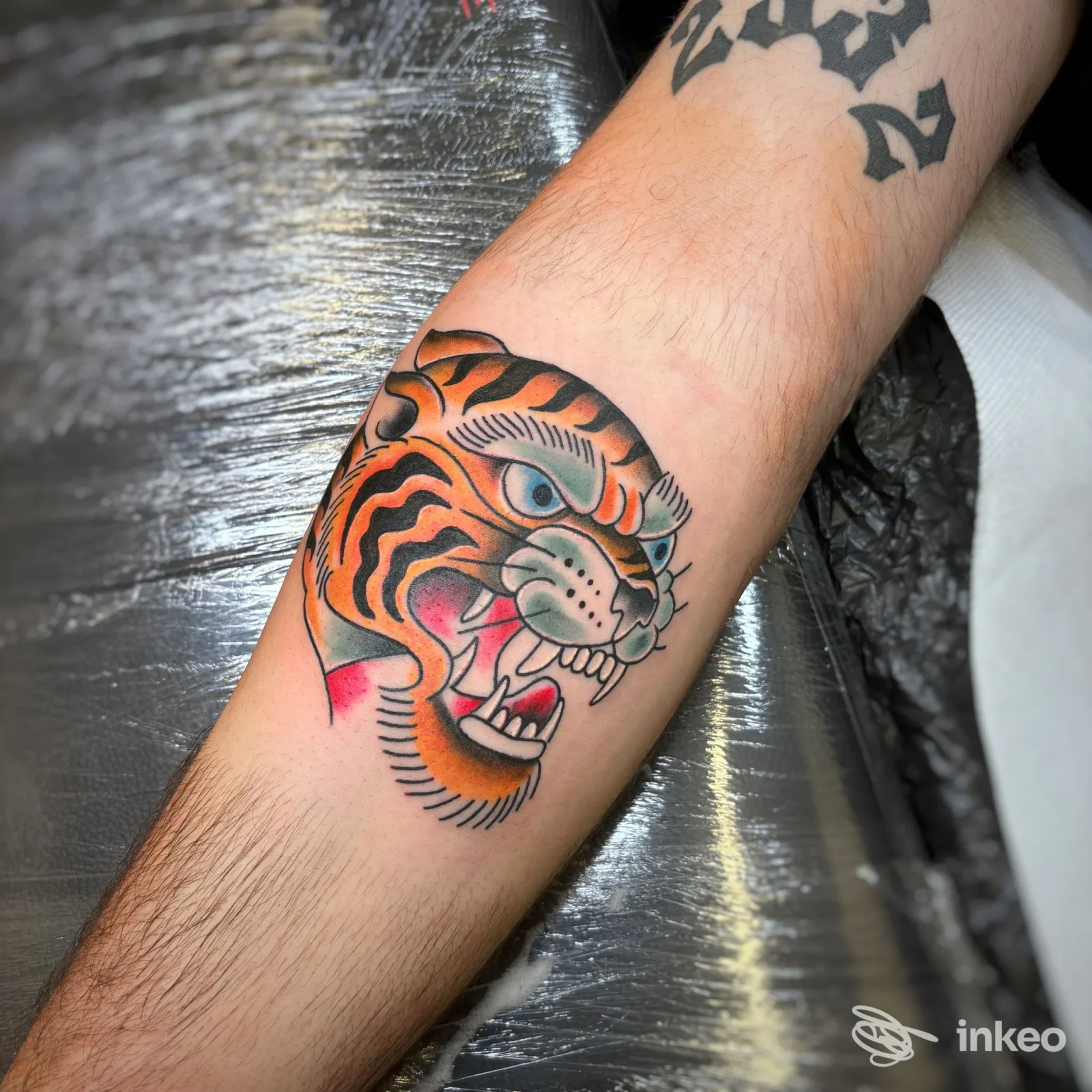 Tatuaggio testa di tigre colorata sull'avambraccio, foto fornita da No Pain Tattoo Studio a Rossano Veneto.
