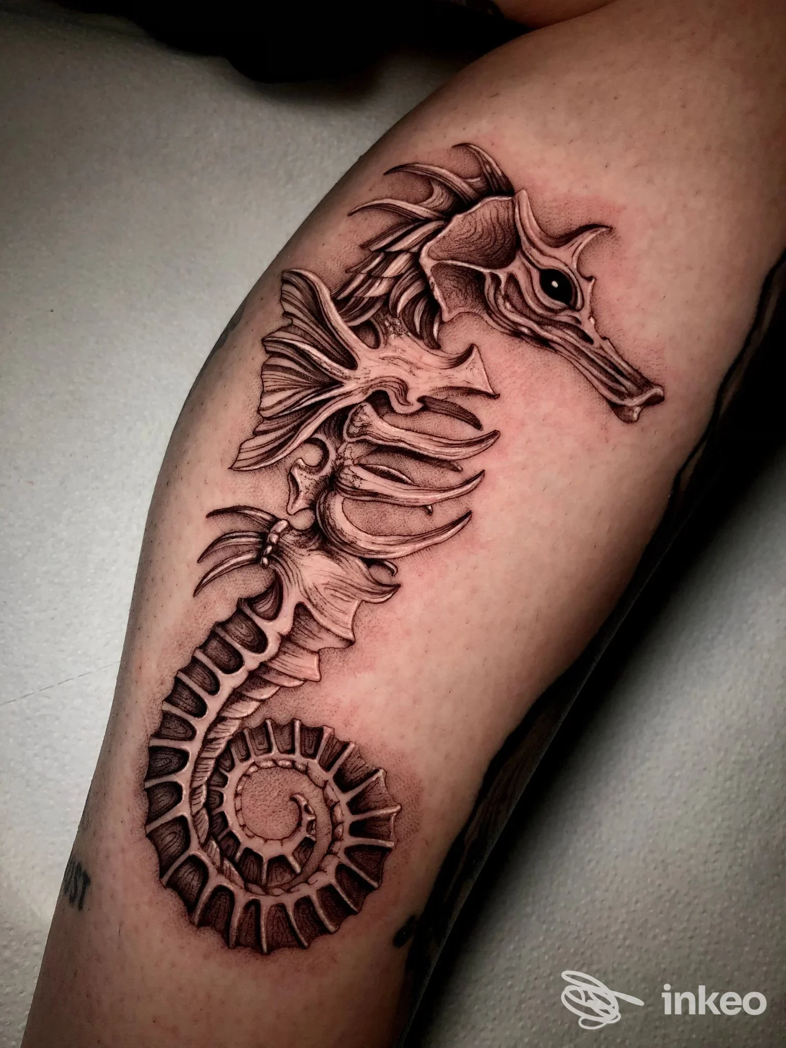 Tatuaggio dettagliato di cavalluccio marino scheletrico sull'avambraccio, realizzato da Sanctumtattooshop a Borso del Grappa.