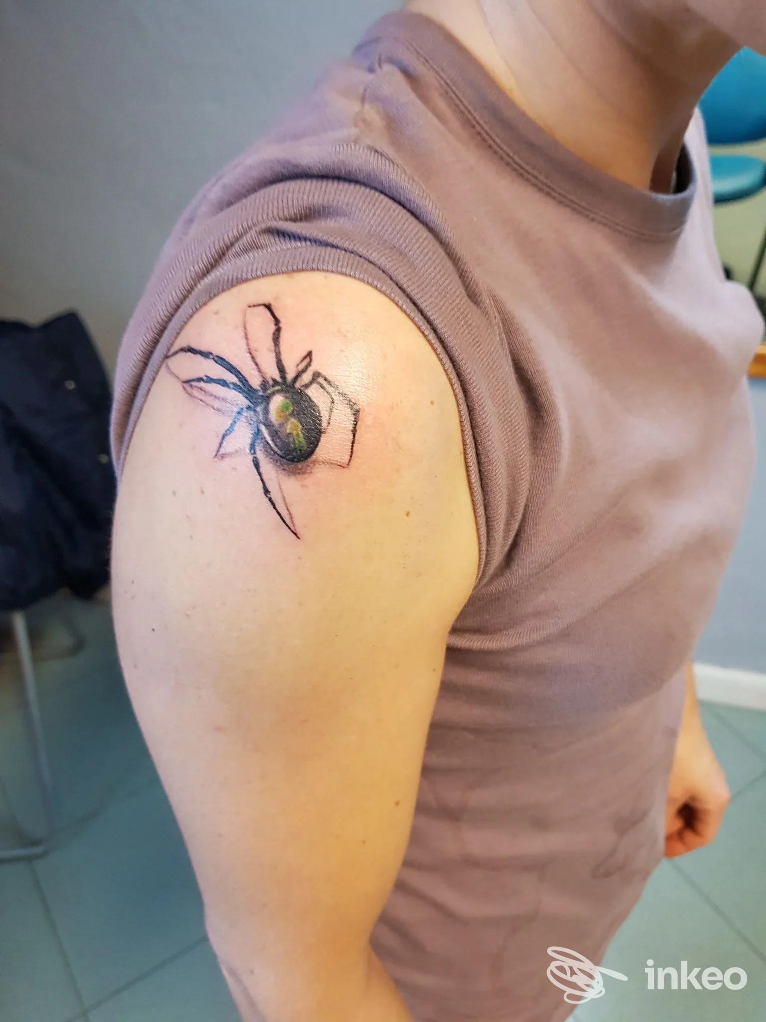 Tatuaggio a insetto colorato sulla spalla superiore, foto fornita da Skin Painting Tattoo a Saccolongo.