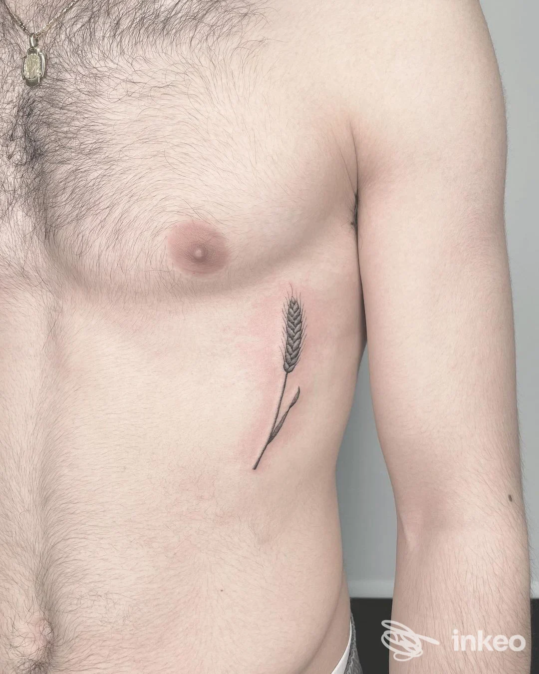 Tattoo reale su torace di un uomo: una spiga di grano nera, verticale, posizionata sul lato sinistro del torace.