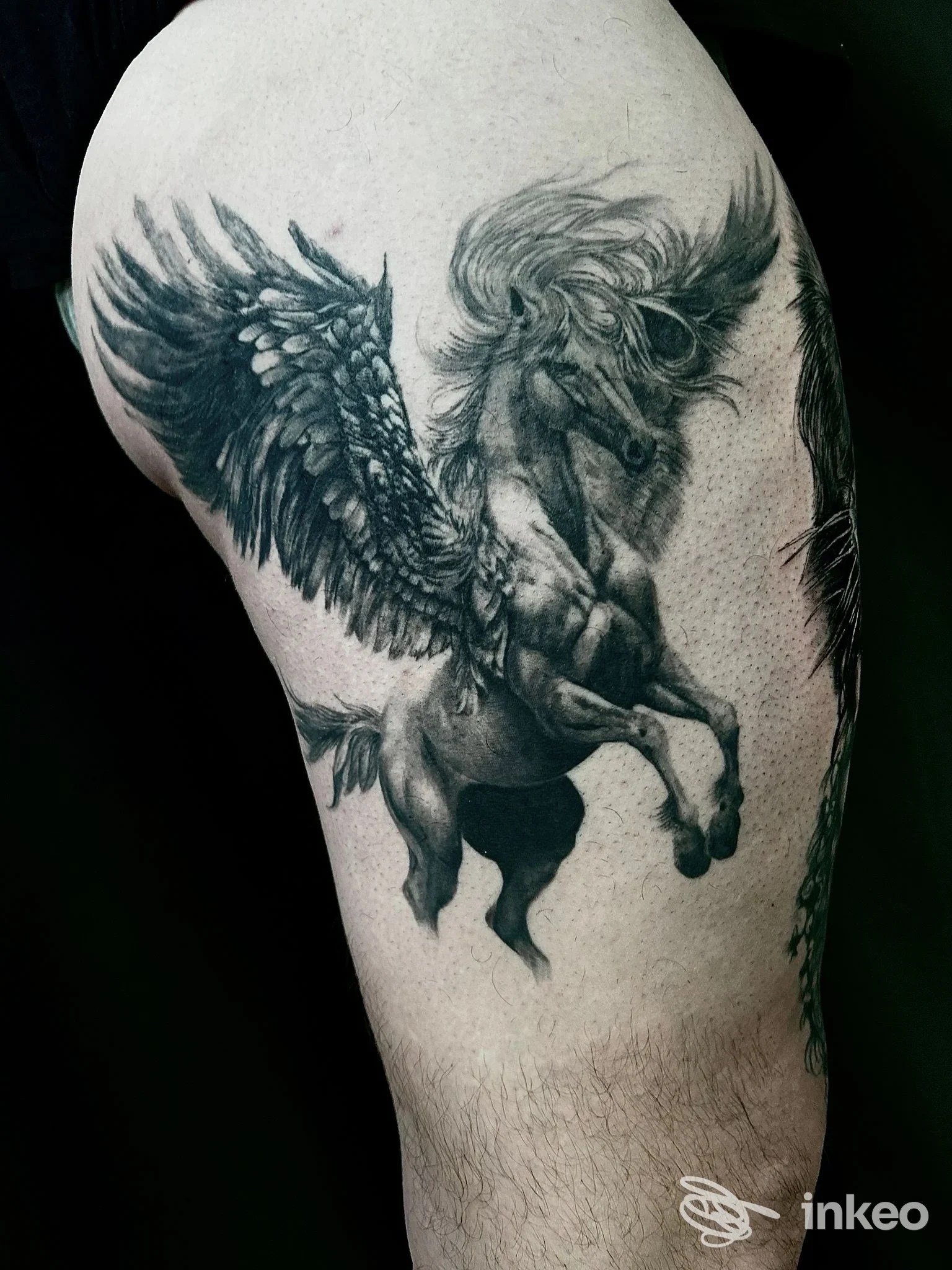 Grande tatuaggio black & grey di un cavallo alato (Pegaso) sulla coscia, realizzato da vanleleink tattoo a Oriago.