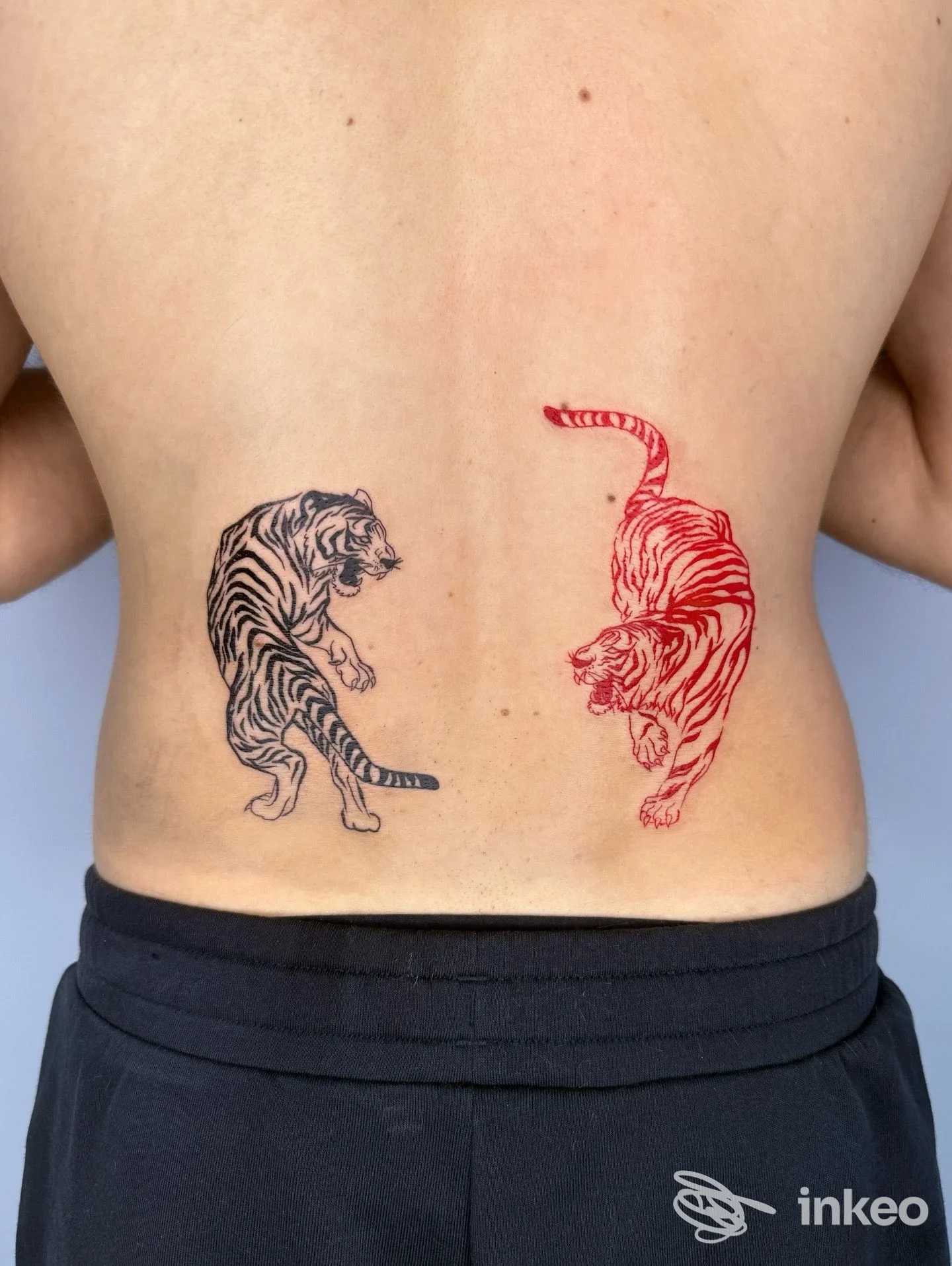 Due tigri tatuate sulla parte bassa della schiena, fotografia che mostra il lavoro di Arte Tattoo Studio a Matera.