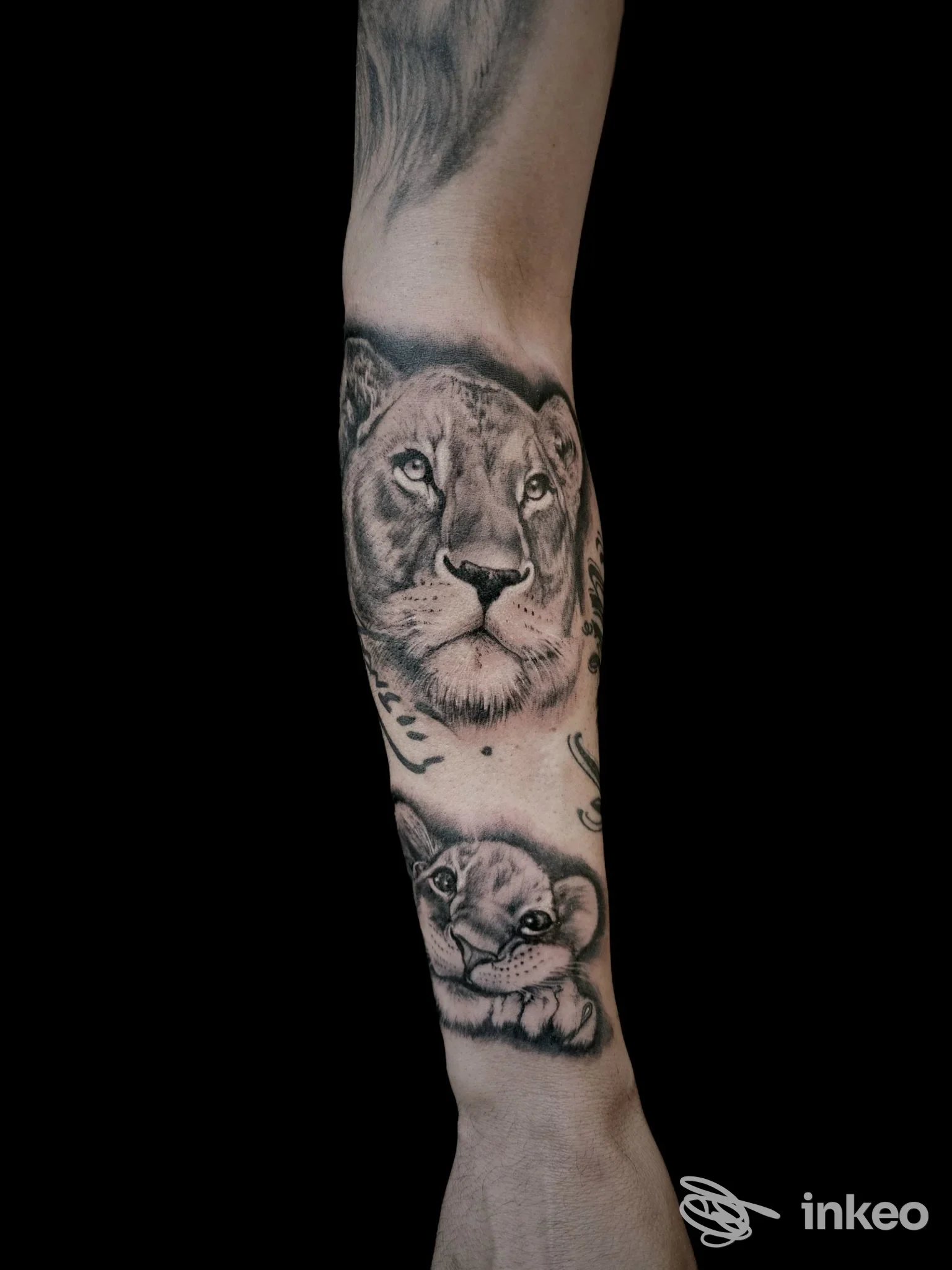 Braccio con tatuaggi realistici in bianco e nero: ritratto di leone e cucciolo incisi sulla pelle, sfondo nero, nessun testo, inquadratura singola.