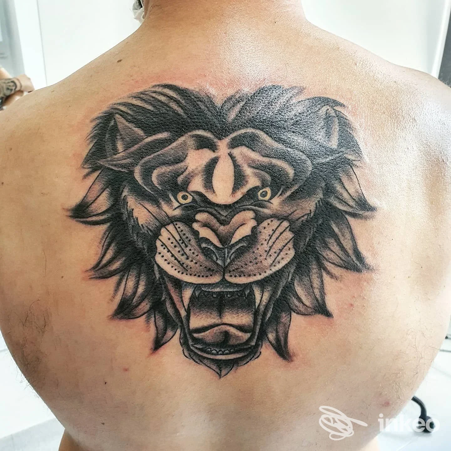 Grande tatuaggio a testa di leone in bianco e nero sulla parte superiore della schiena, Poison Tattoo Studio, Potenza.