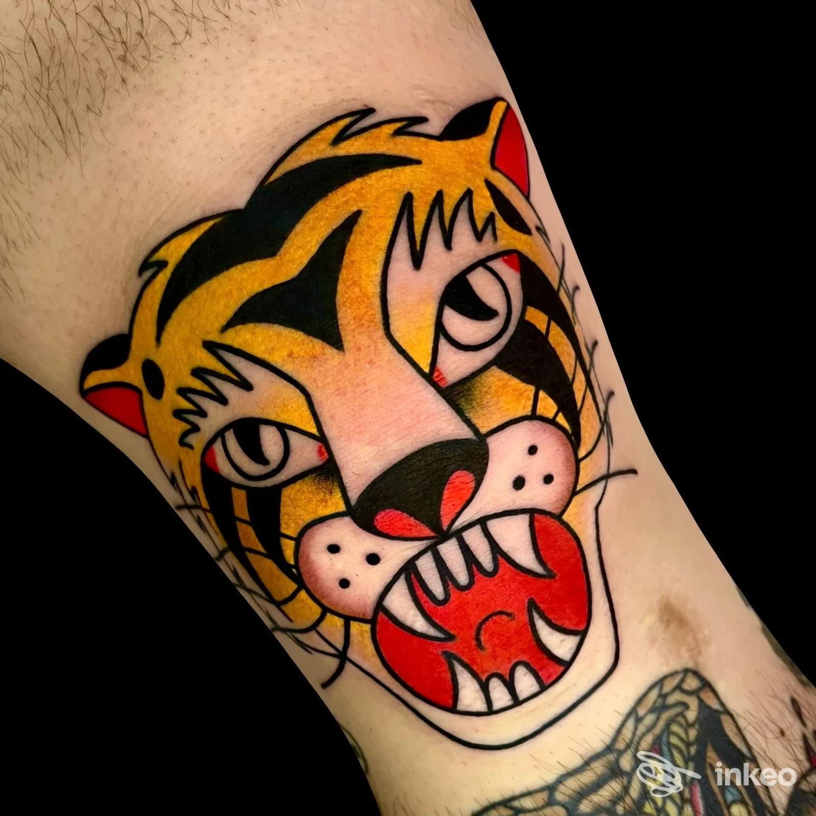 Tatuaggio testa di tigre in stile tradizionale sull'avambraccio, Tattoo valley, Villa d'Agri.