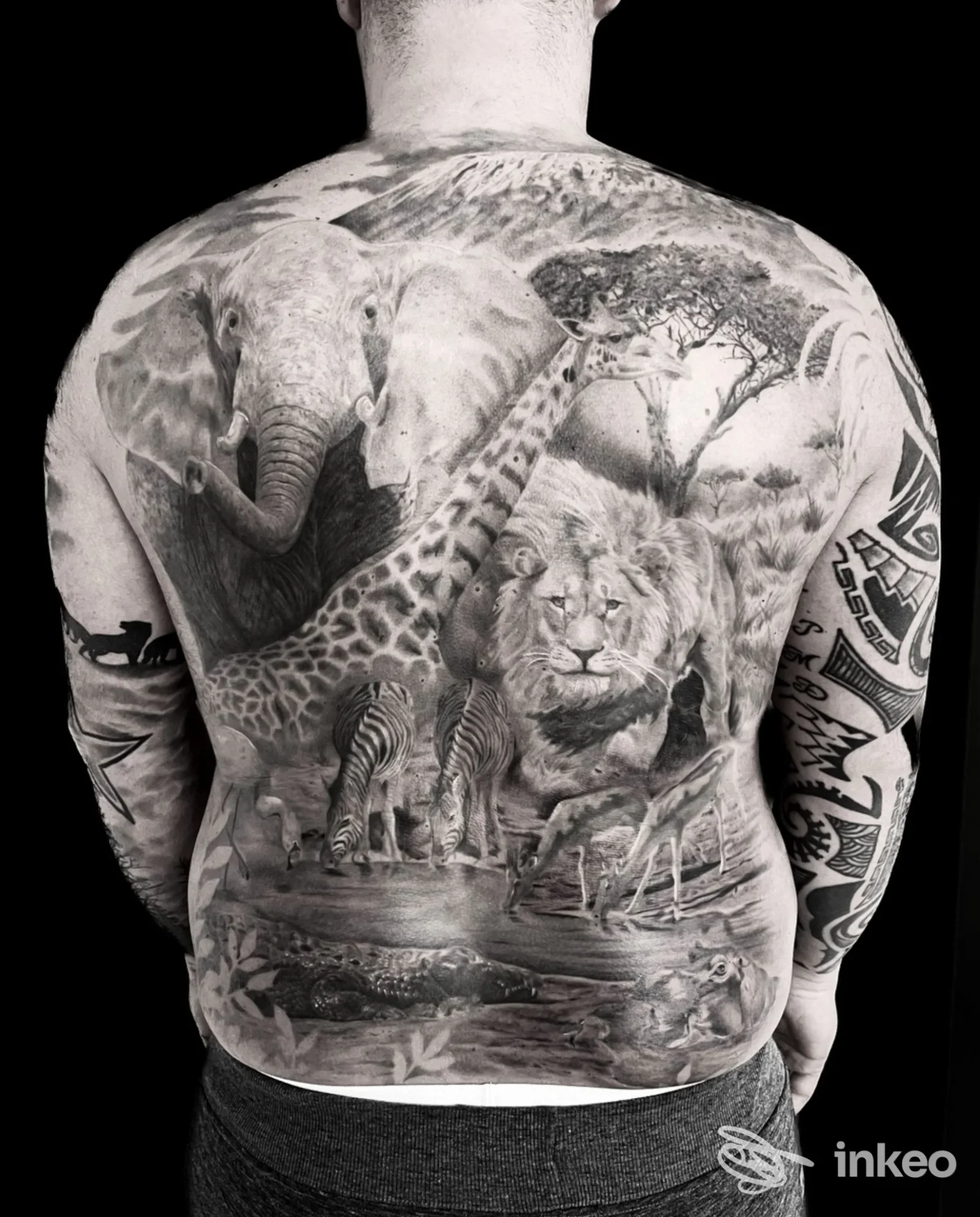 Grande tatuaggio realistico su schiena con scene di fauna africana, Tintenfass Tattoo, Chiusa.