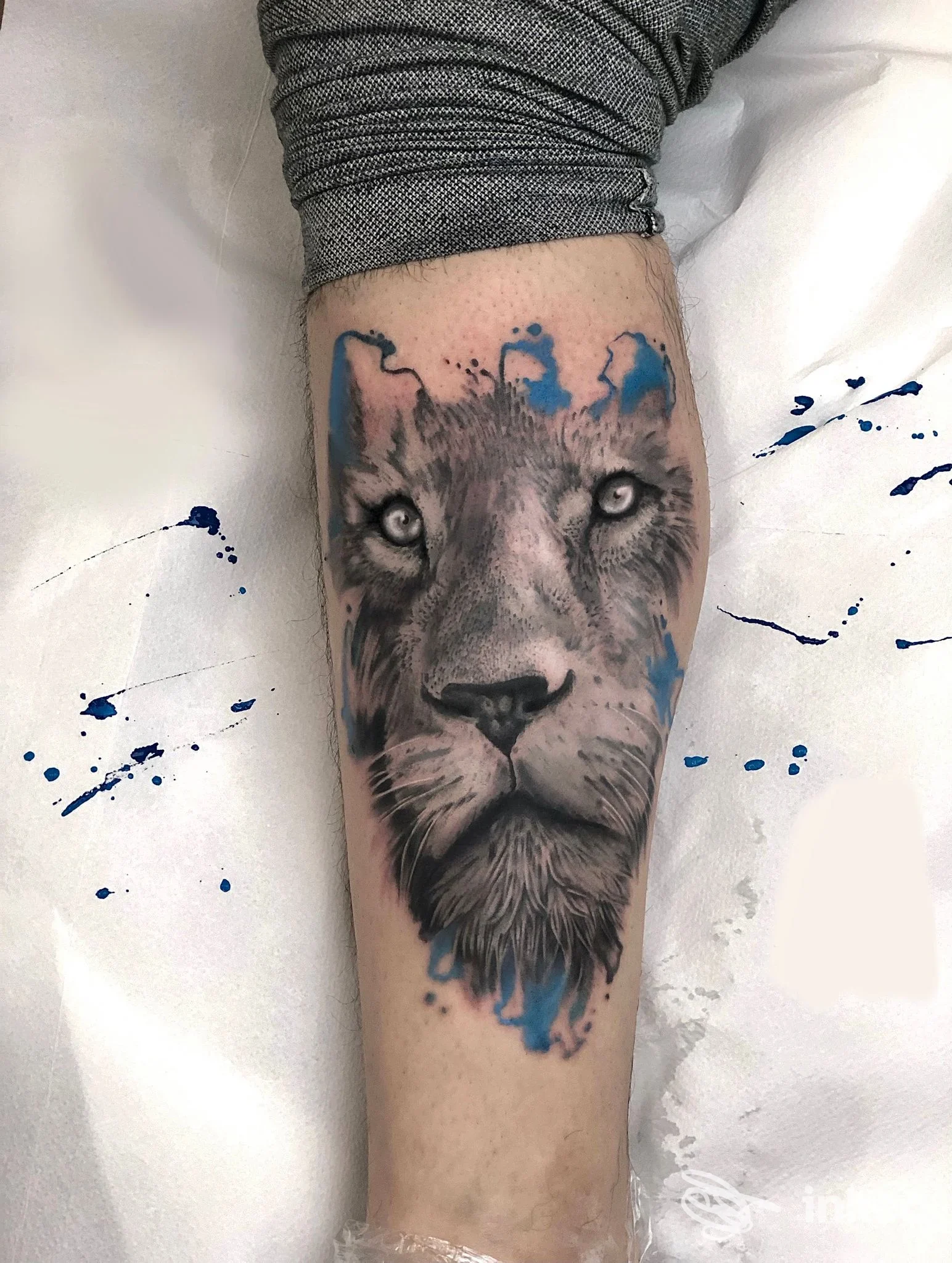 Tatuaggio realistico di un leone con schizzi blu sull'avambraccio, Chimp Ink Art & Tattoo Studio, Bolzano.