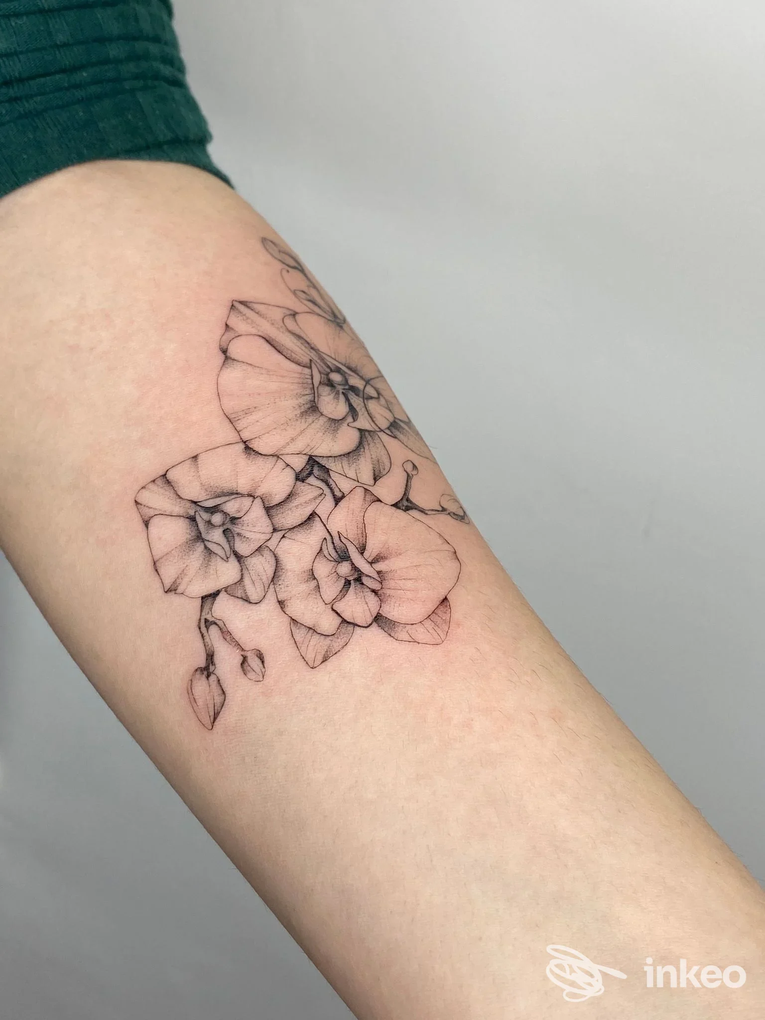 Tatuaggio di orchidee in stile fineline sull'avambraccio, foto inviata da So/Ma Tattoo & Art Experience, Cagliari.
