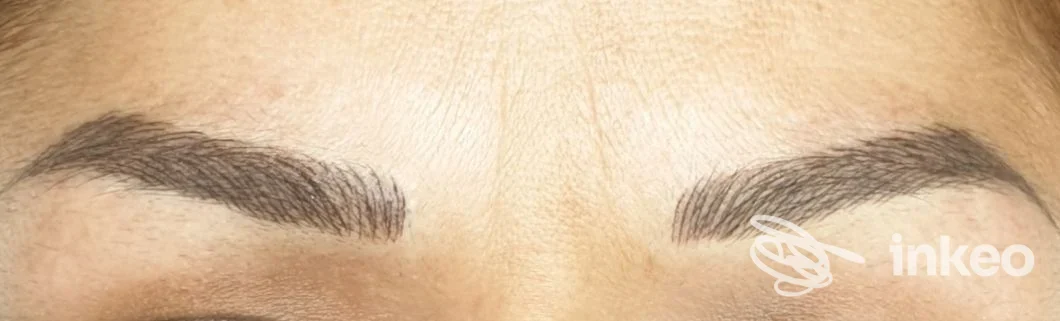 Primo piano di sopracciglia trattate con micropigmentazione, Trucco Permanente / Phibrows Eva Durcanova, Selvazzano Dentro.