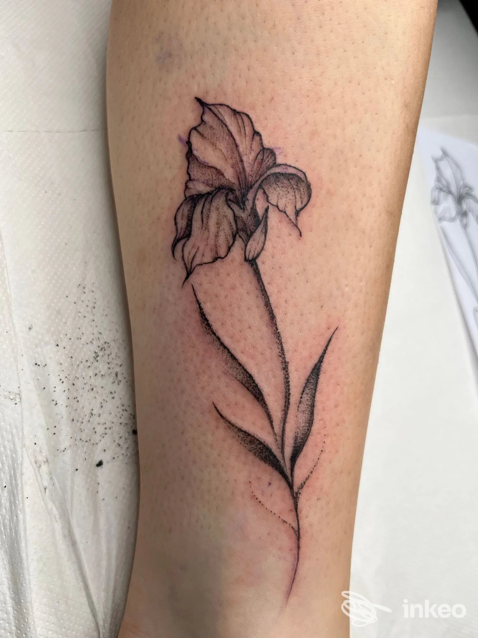 Tatuaggio a inchiostro nero/gramma di un fiore sull'avambraccio, realizzato da Antelia Tattoo a Piombino.