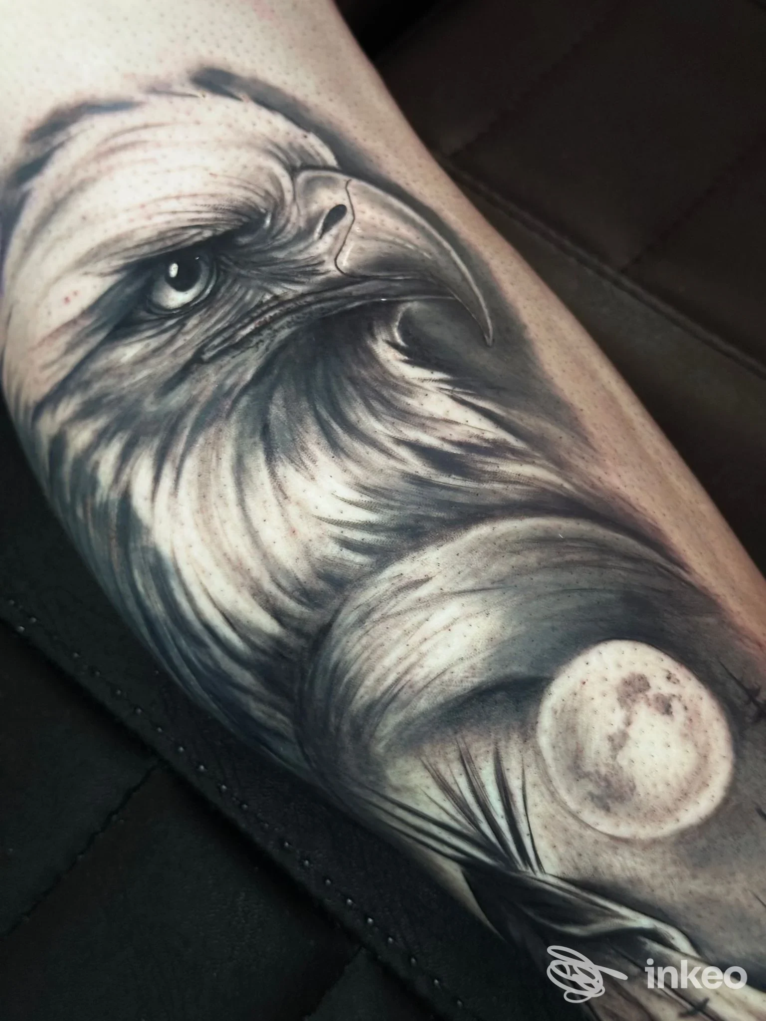Tatuaggio realistico in bianco e nero di un'aquila e una luna sull'avambraccio. Nuovo Impero Tattoo Studio, San Cesario sul Panaro.