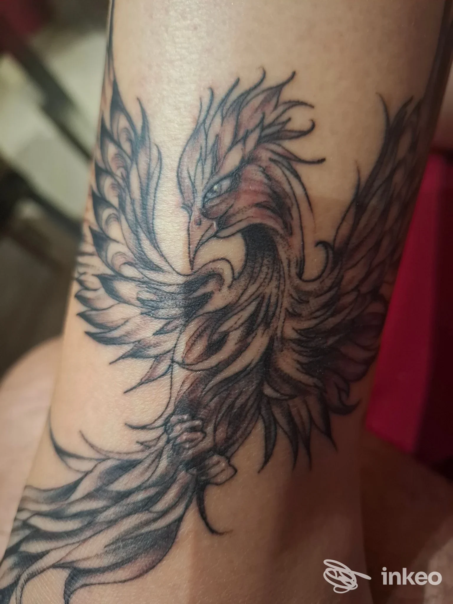 Tatuaggio di una fenice in bianco e nero sulla caviglia, Kalink Tattoo ad Asti.