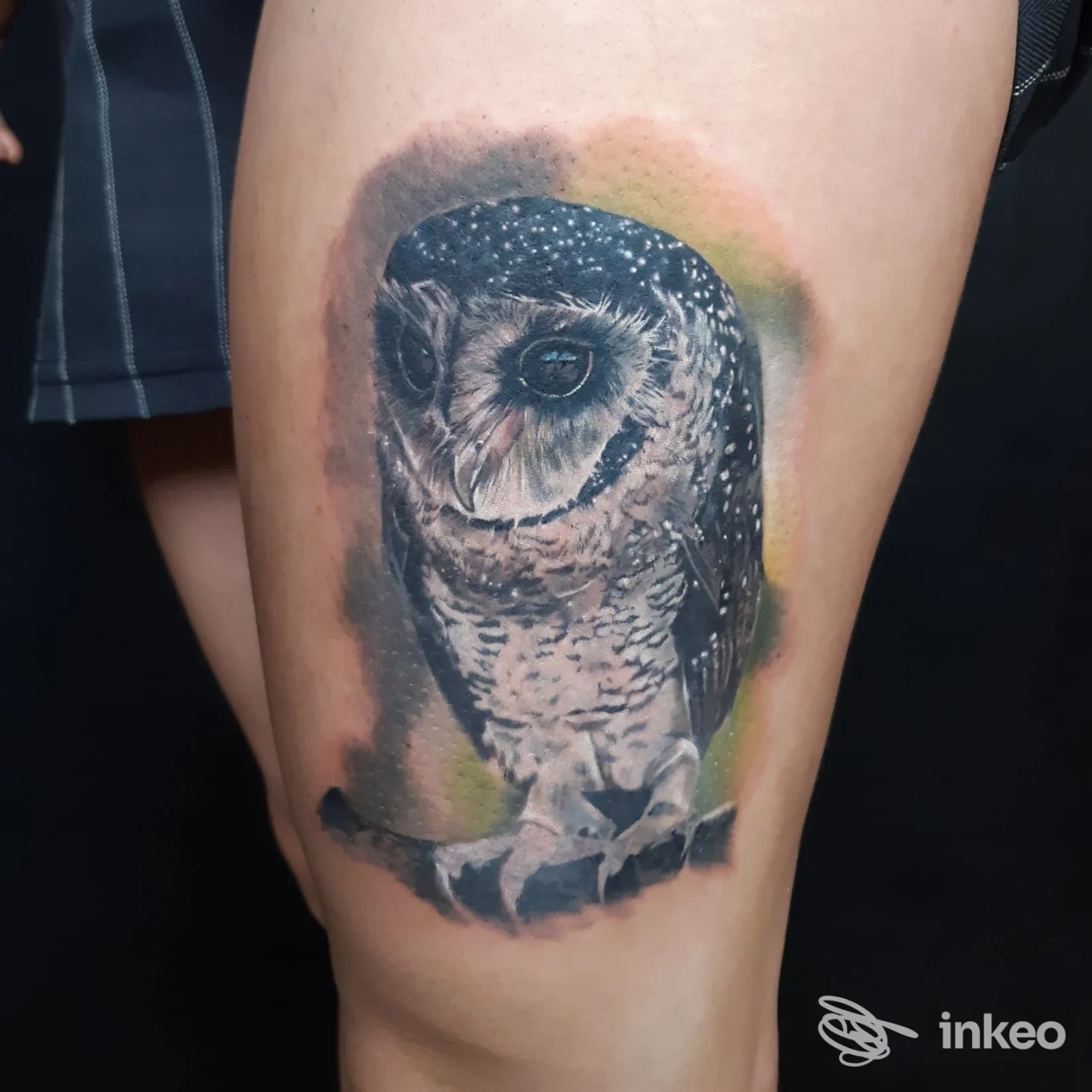 Tatuaggio realistico di un gufo sulla coscia, lavoro di Lady Purple Tattooer a Ravenna, dettagli in bianco e nero con sfondo verde-giallo.