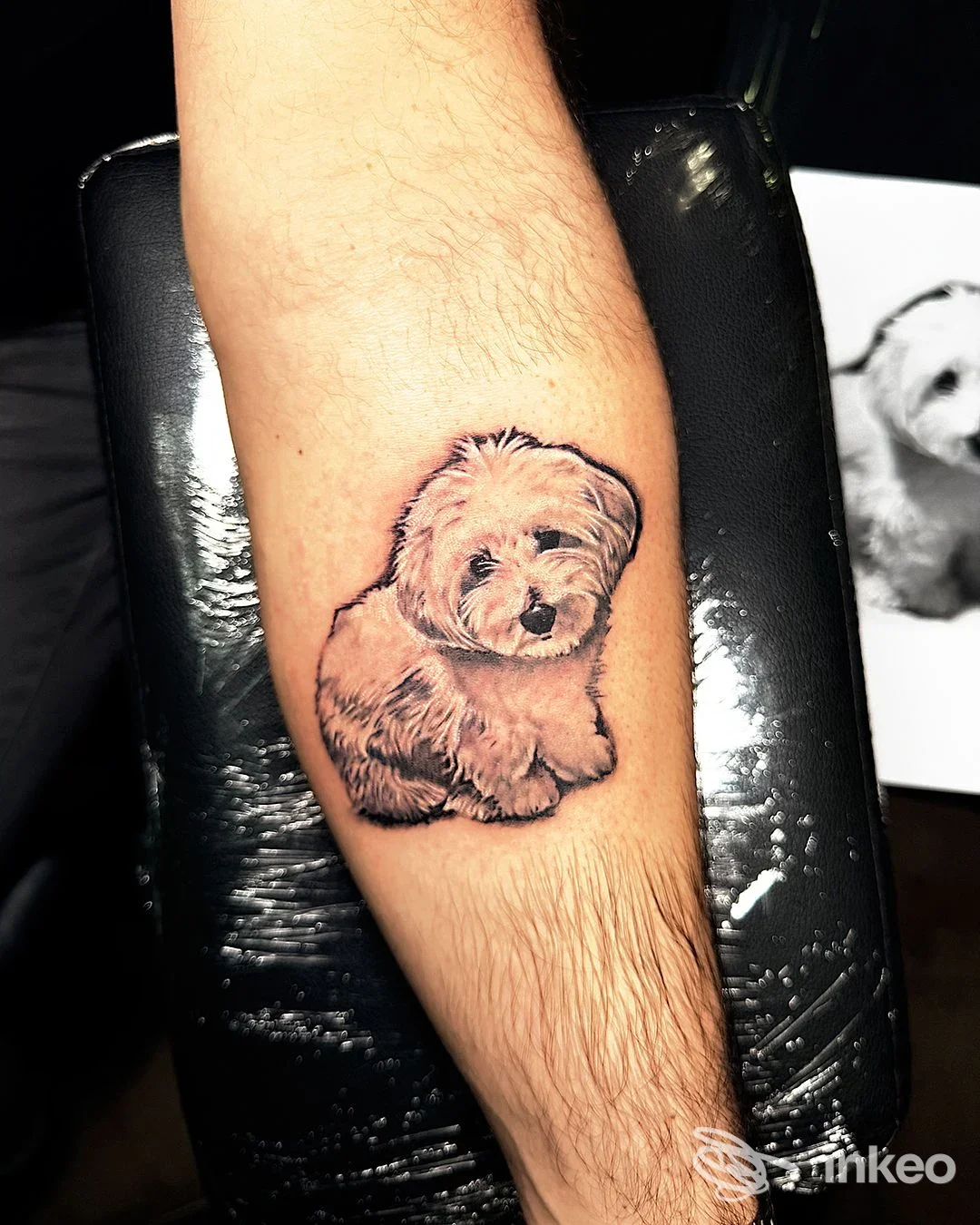 Tatuaggio realistico di un cane su avambraccio maschile fotografato su poggia-braccio nero. JEKO TATTOO SHOP, Torino.