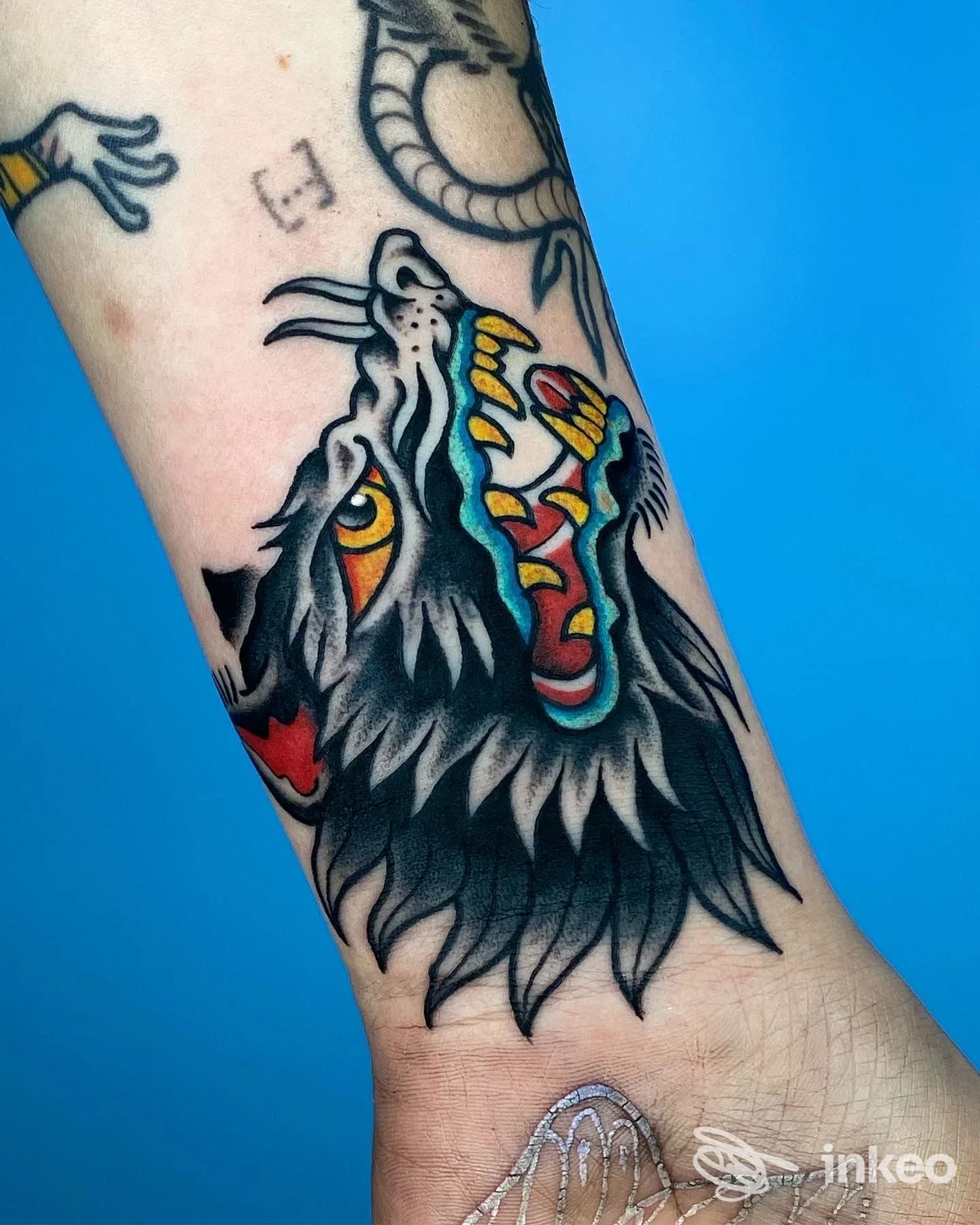 Tatuaggio testa di lupo in stile tradizionale su avambraccio, foto fornita da Black Panda Tattoo, Bologna.