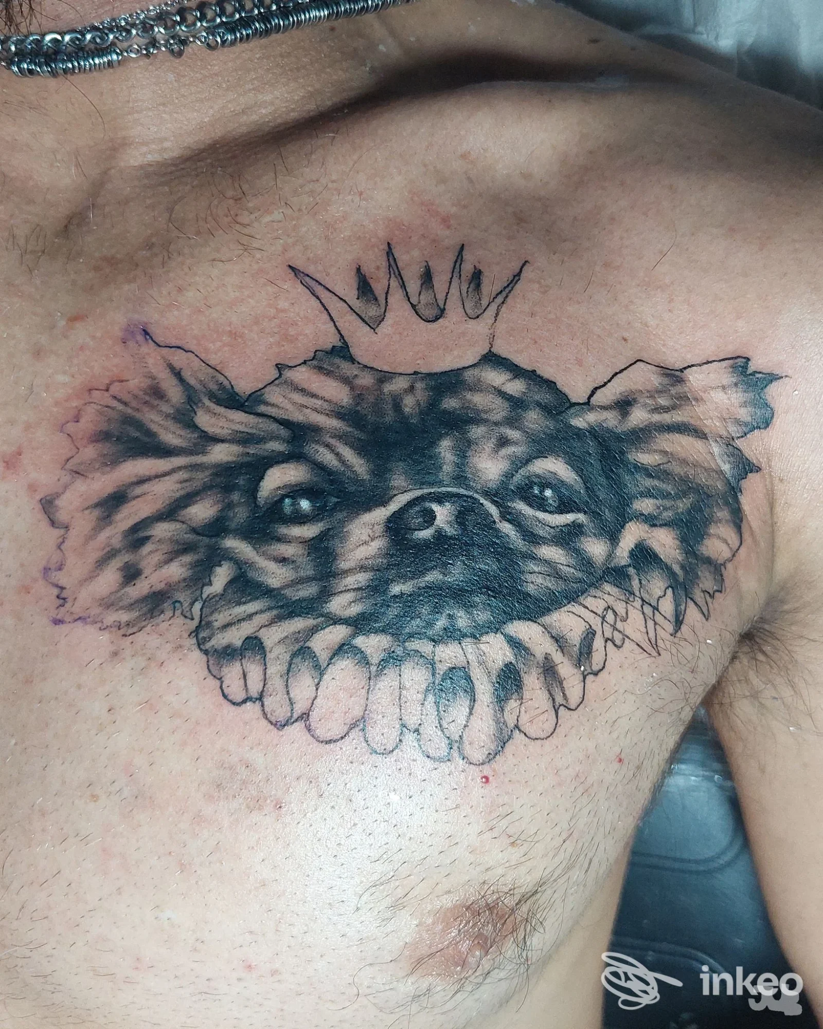 Tatuaggio sul petto di un cane con corona, realizzato da Franco Forte Tattoo a Salerno.