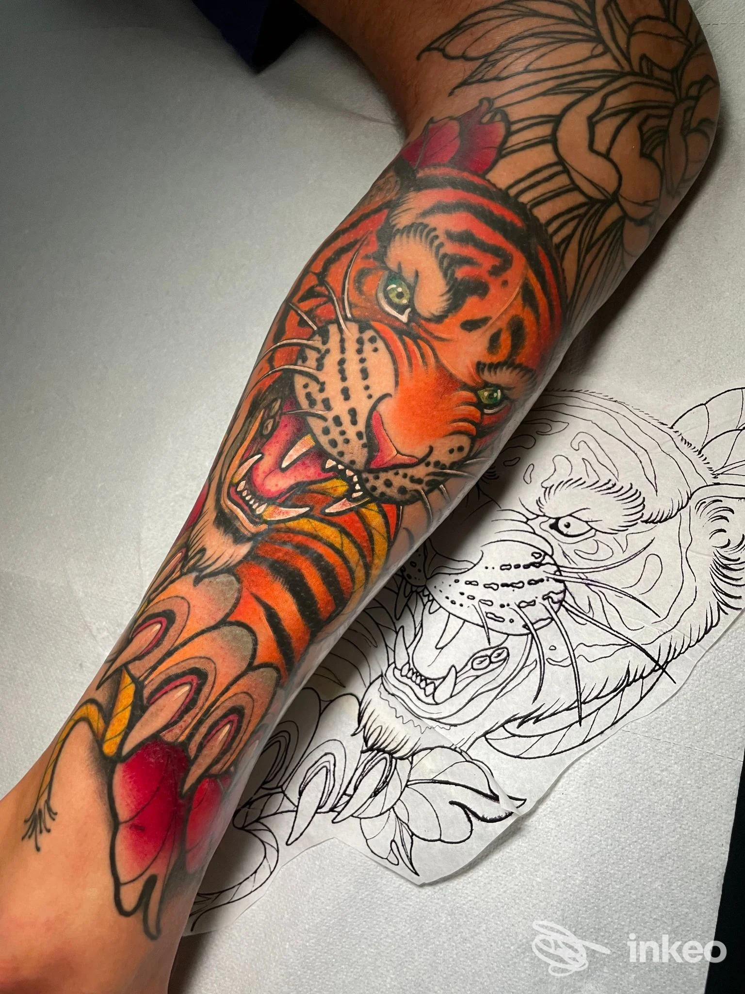 Avambraccio con grande tatuaggio colorato a tema tigre e stencil di riferimento accanto, immagine proveniente da DelaRoche Tattoo Lugo.