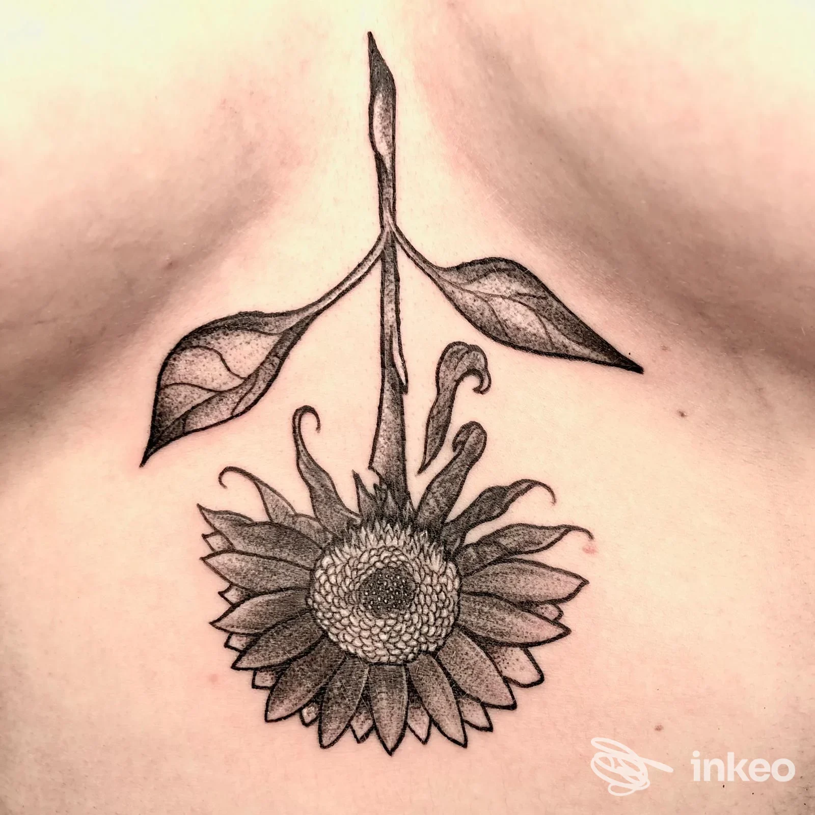 Tatuaggio girasole capovolto sullo sterno, realizzato da Notam Nomen Tattoo and Art a Budrio.