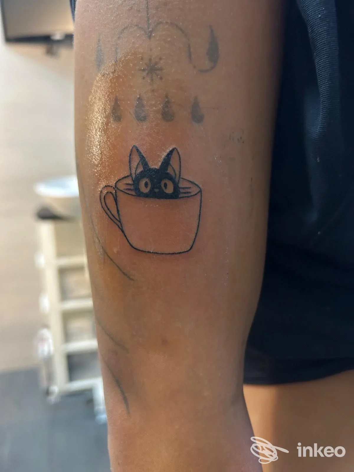 Tatuaggio di un gatto in una tazza sull'avambraccio, Project Tattoo Napoli.