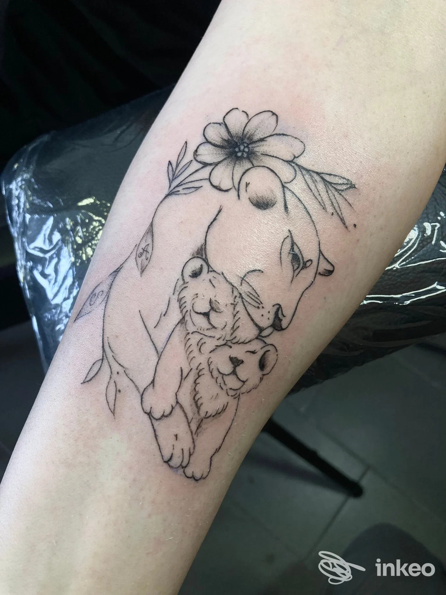 Tatuaggio linework di leonessa e cucciolo sull'avambraccio, realizzato da TITANI TATTOO a Riolo Terme.