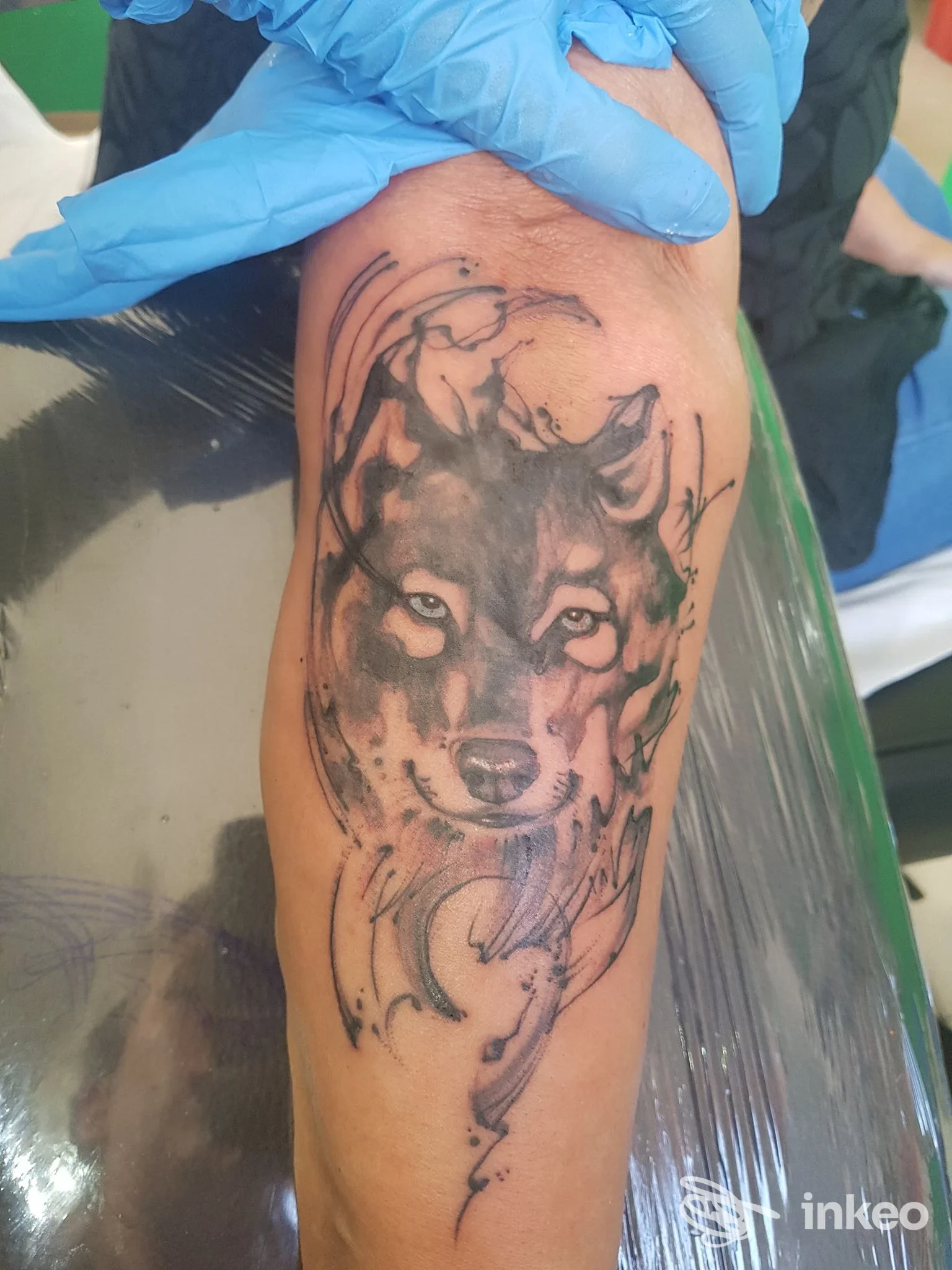 Tatuaggio black & grey di una testa di lupo sull'avambraccio, No Class Tattoo Shop a Minerbio.