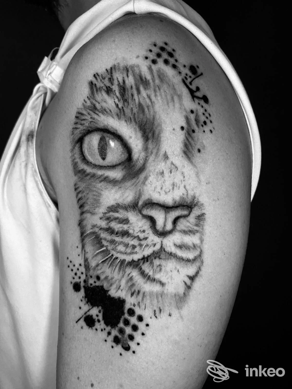 Tatuaggio realistico di un volto di gatto sul braccio superiore, La Mostra Tattoo, Ercolano.