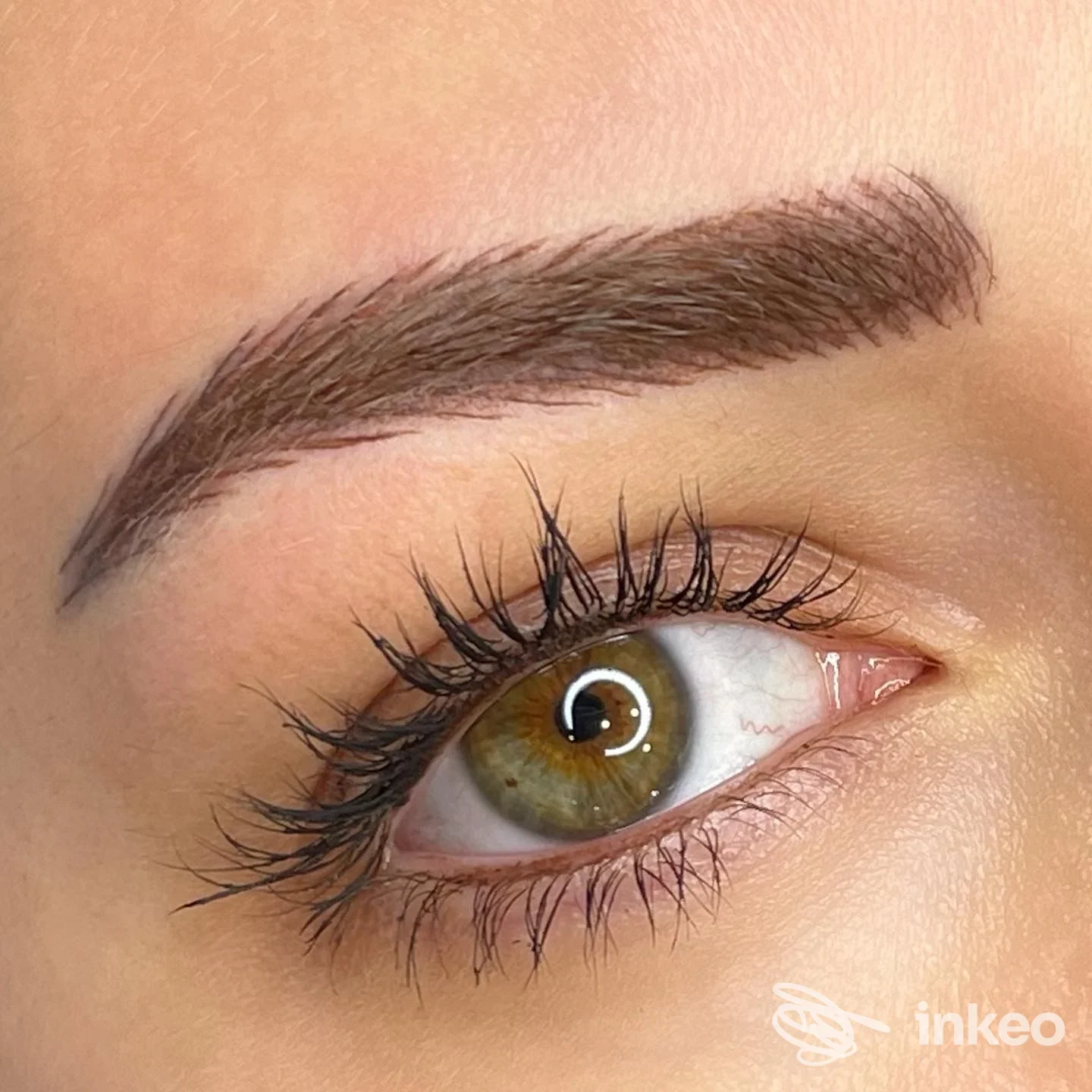 Dettaglio sopracciglio con microblading eseguito da Paradise tattoo & piercing, Bologna, visibile il contorno dell'occhio.