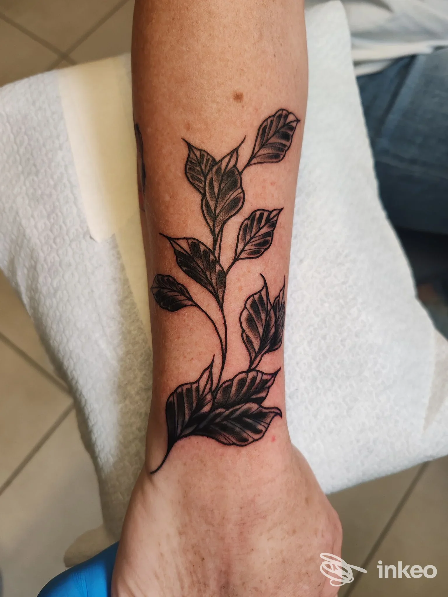 Tatuaggio a motivo di foglie sull'avambraccio realizzato da Calavera TattooParlor, Prato.