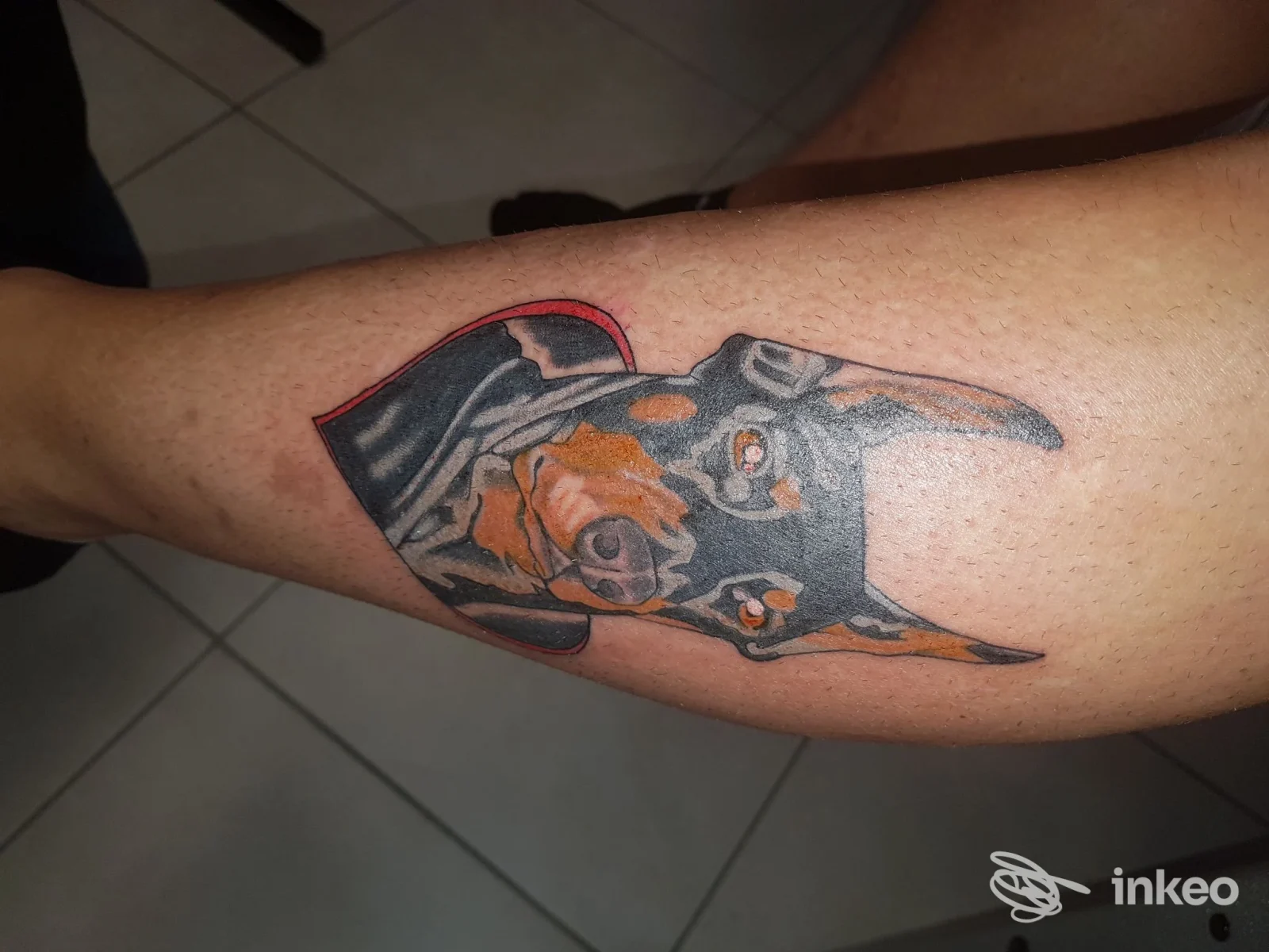 Tatuaggio stilizzato di muso di cane sull'avambraccio, foto realizzata da Calavera TattooParlor, Prato.