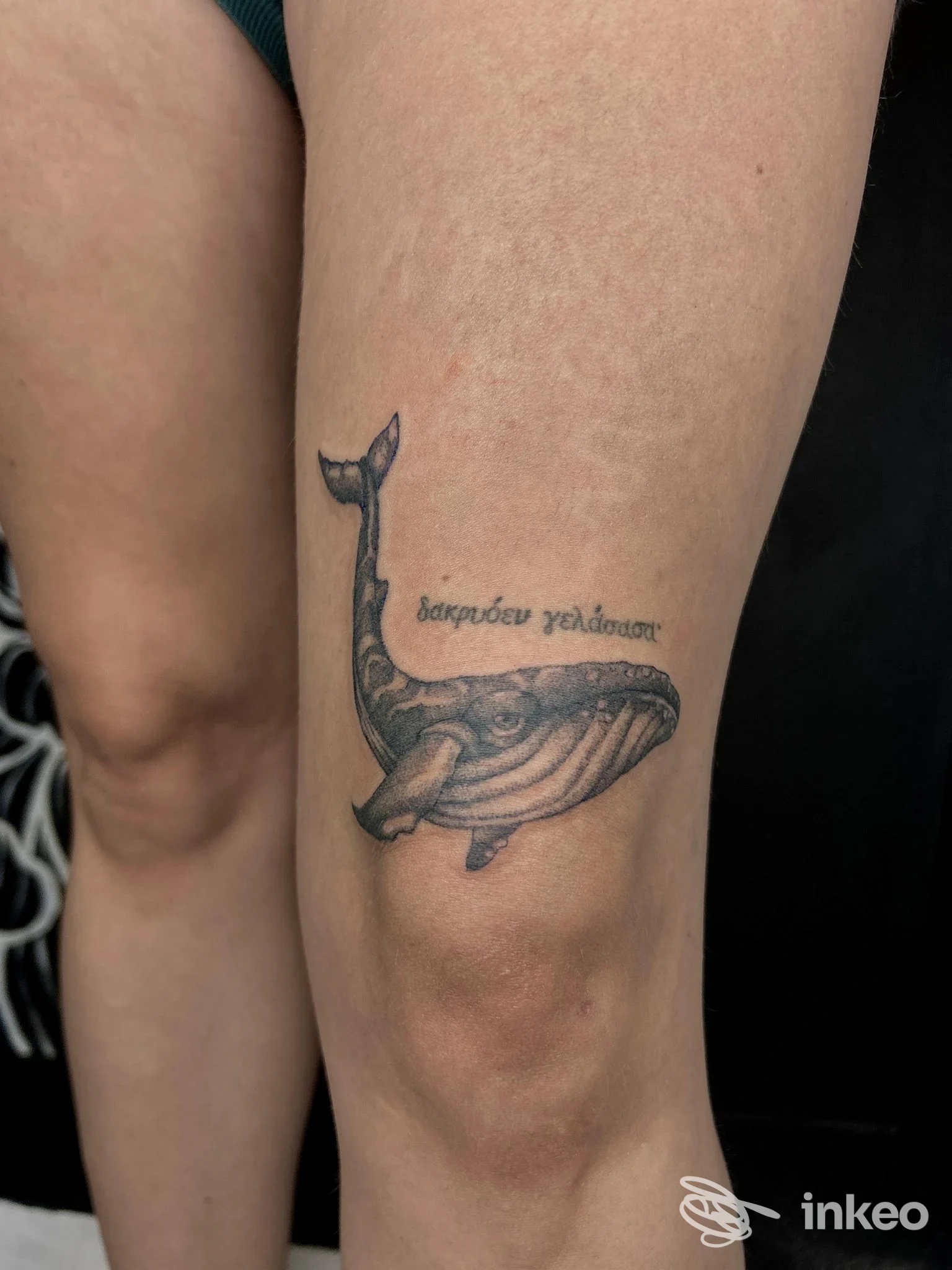 Tattoo su gamba: balena in stile nero/grigio, rappresentata sul muscolo della gamba senza volto visibile.