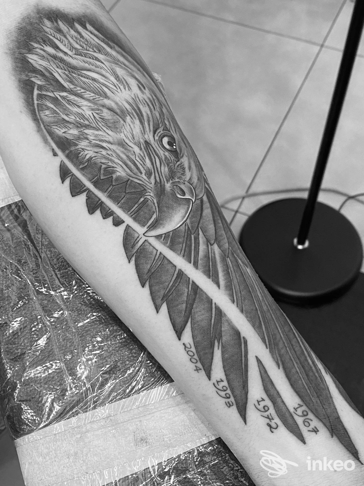 Tatuaggio black & grey di testa di uccello e penne lungo l'avambraccio, scatto nello studio Da Family Ink Tattoo Shop a Ispica.