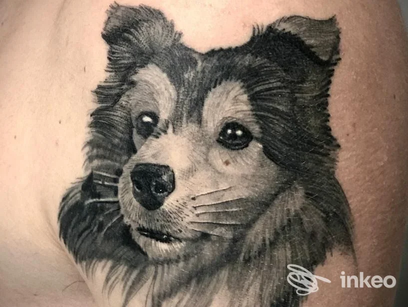 Tatuaggio realistico in bianco e nero del volto di un cane sulla spalla, realizzato da Zero Tattoo Studio a Prato.