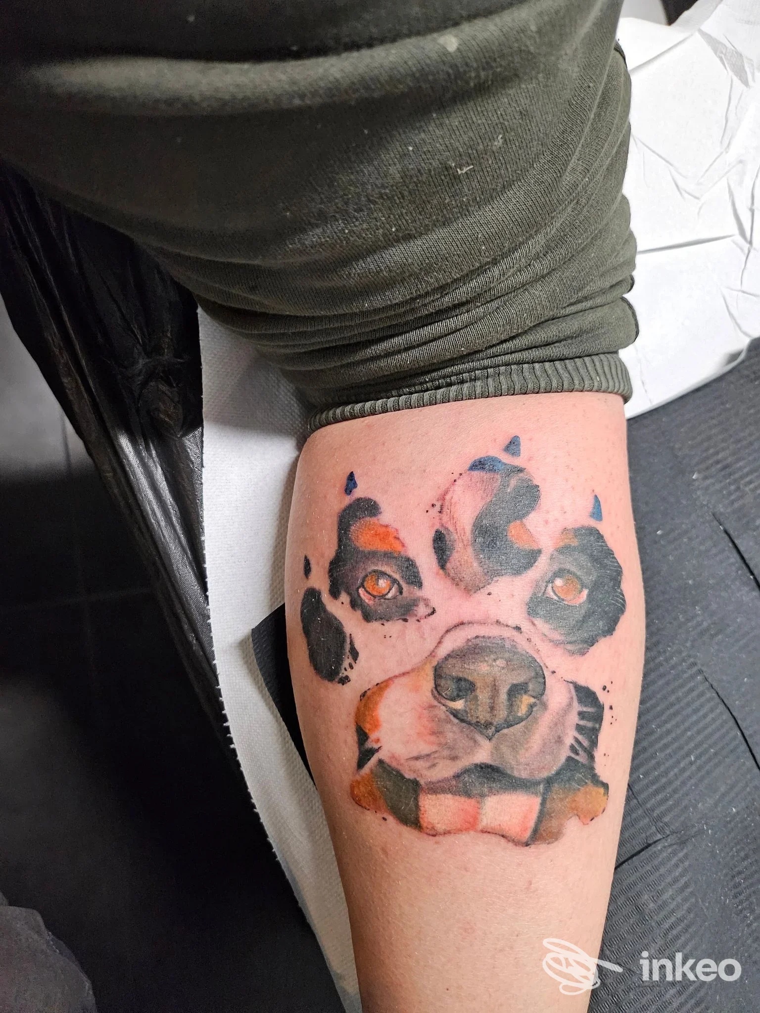 Tatuaggio realistico del muso di un cane sull'avambraccio di un cliente, eseguito da Zero Tattoo Studio a Prato, primo piano del lavoro.