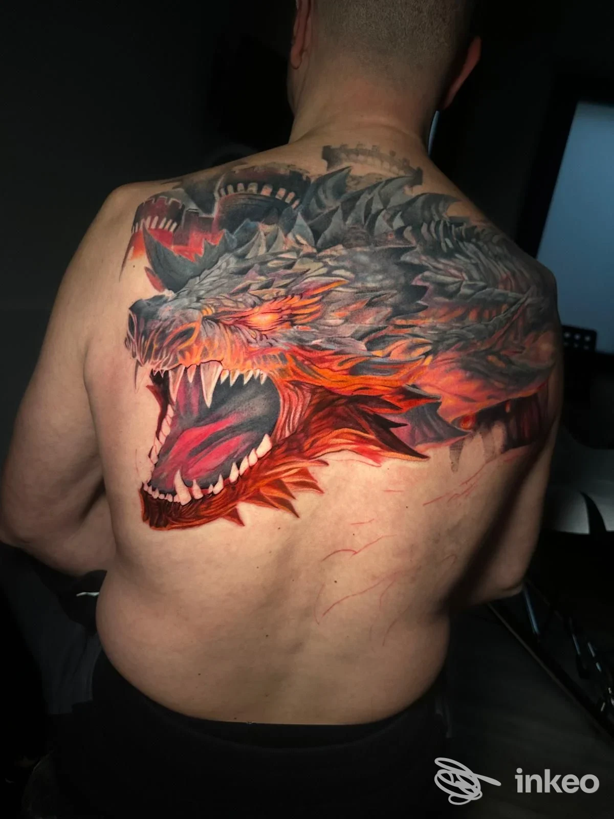 Grande tatuaggio a colori di una testa di drago sulla schiena, Silent ink tattoo studio da Phil, Valenza.