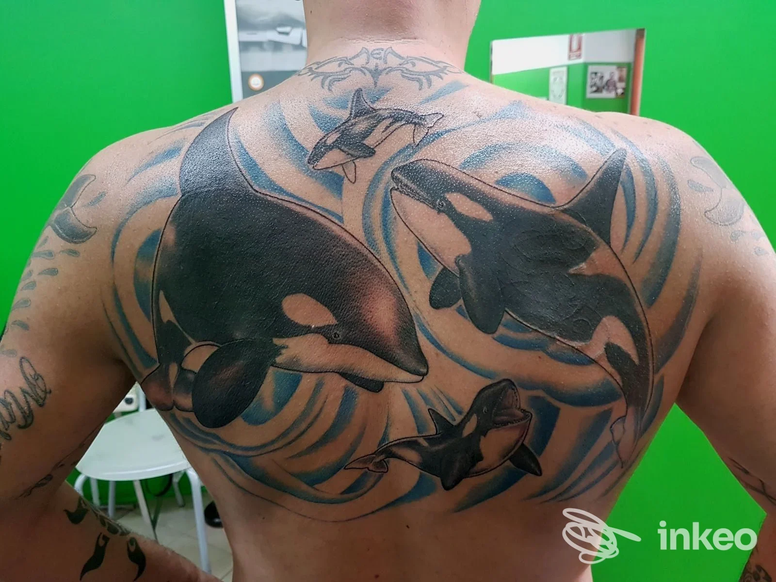Ampia schiena tatuata con orche in stile blackwork/realistico, fotografia dello studio Mamma Perdonami tattoo studio a Casale Monferrato.