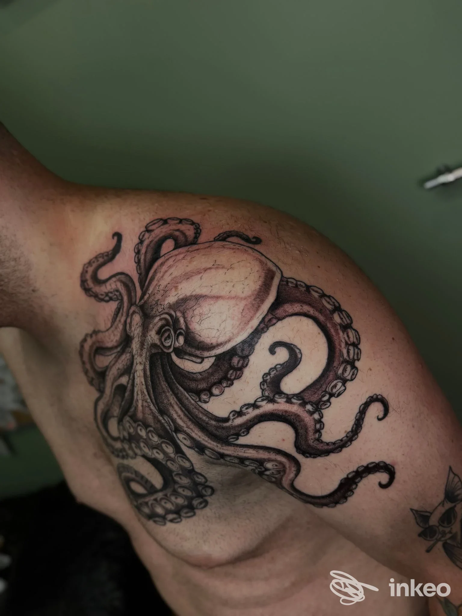 Tatuaggio a inchiostro nero e grigio di un polpo sulla spalla e pettorale, immagine fornita da Black Beetle Tattoo Studio, Pontinia.