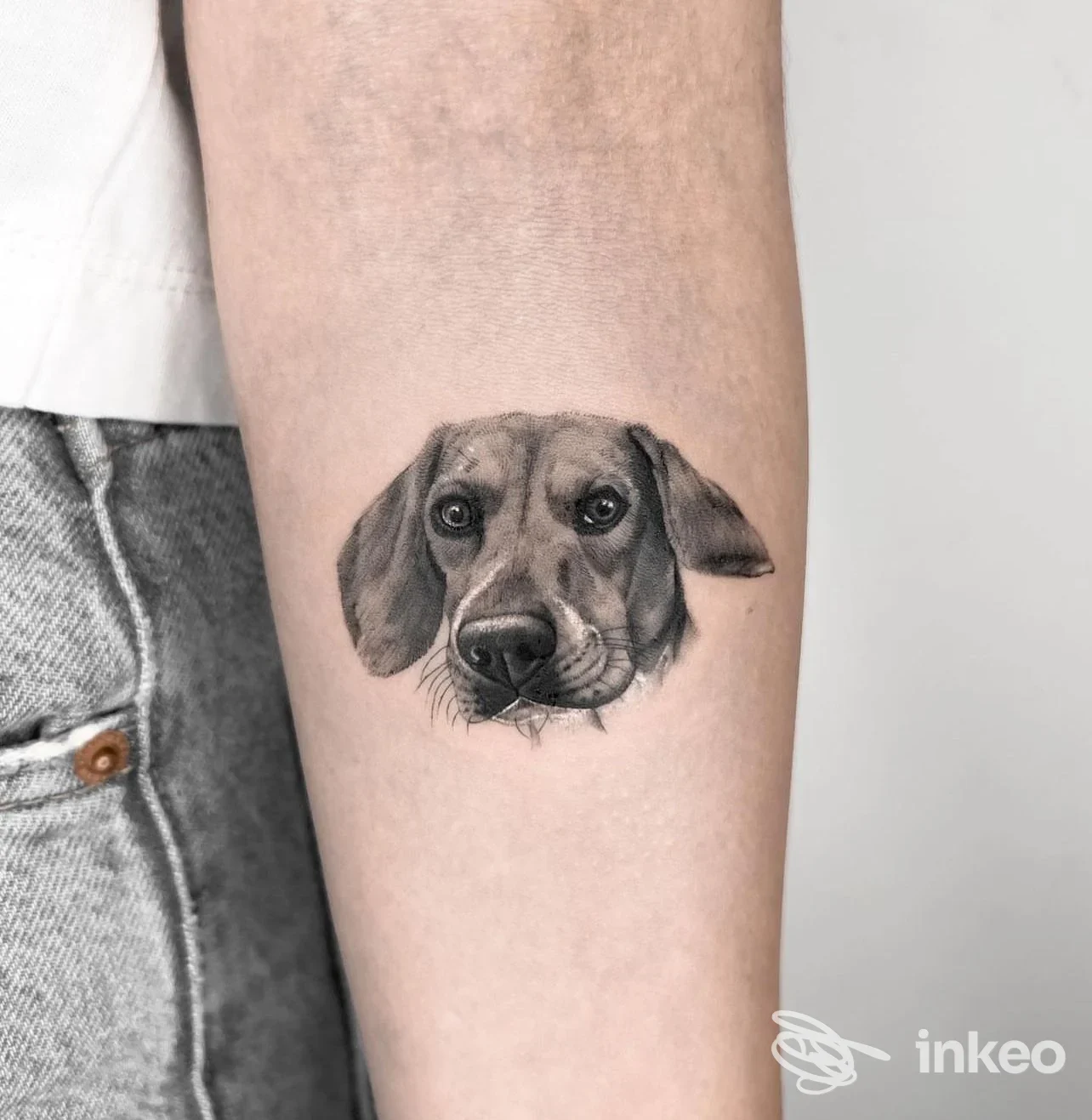 Ritratto realistico della testa di un cane tatuato sull'avambraccio; foto inviata da InkPression Tattoo Studio, Torino.