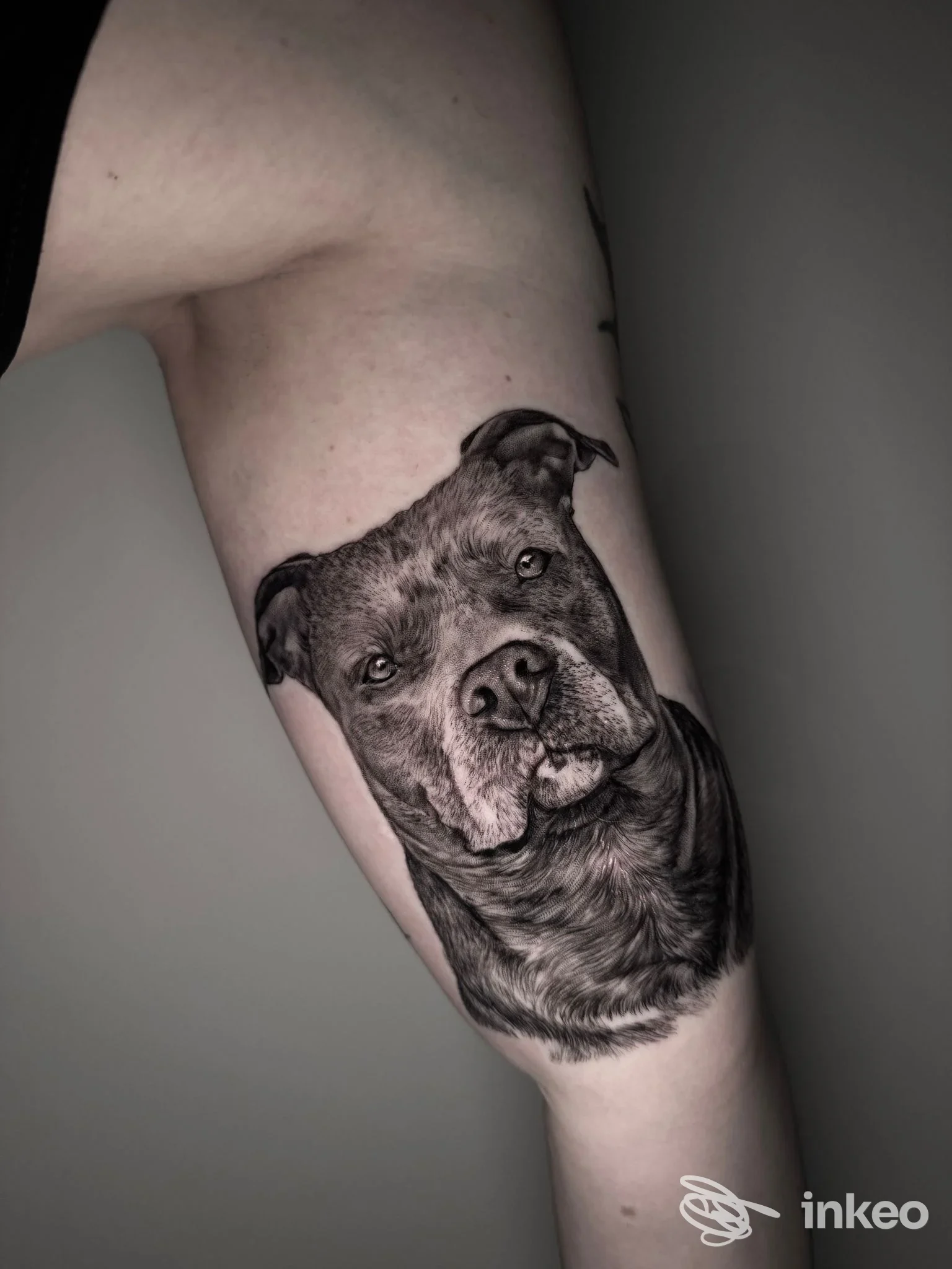 Ritratto realistico in bianco e nero di un cane tatuato sull'interno del braccio superiore. Medusa Tattoo & Art Studio, Taglio di Po.