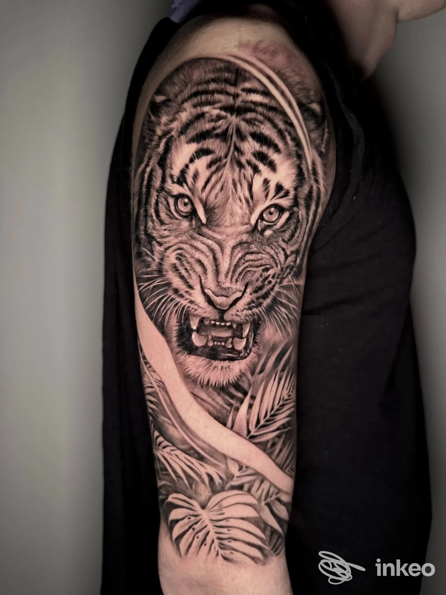 Mezza manica realistico con testa di tigre su braccio superiore, Medusa Tattoo & Art Studio, Taglio di Po.