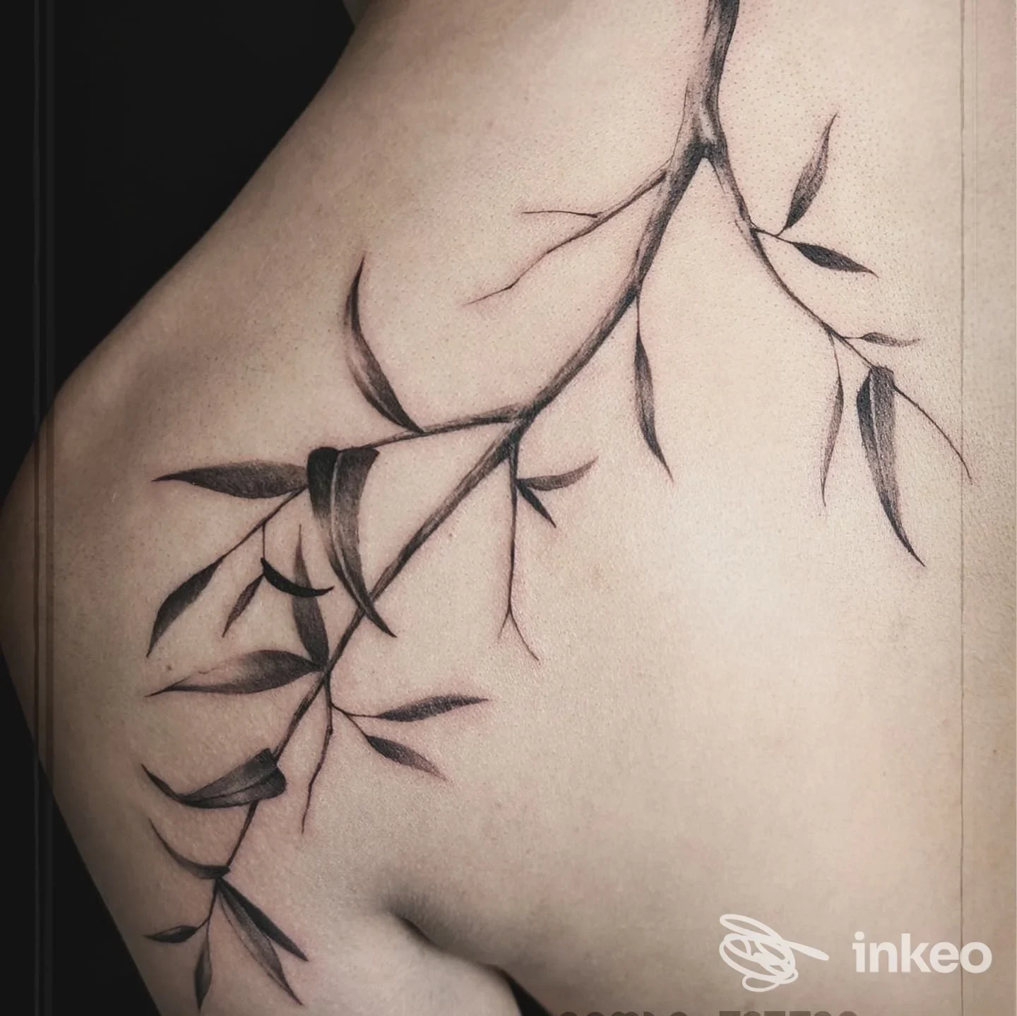Tatuaggio botanico a ramo in nero/grigio sulla spalla e parte superiore della schiena, Samba Tattoo, Prato.
