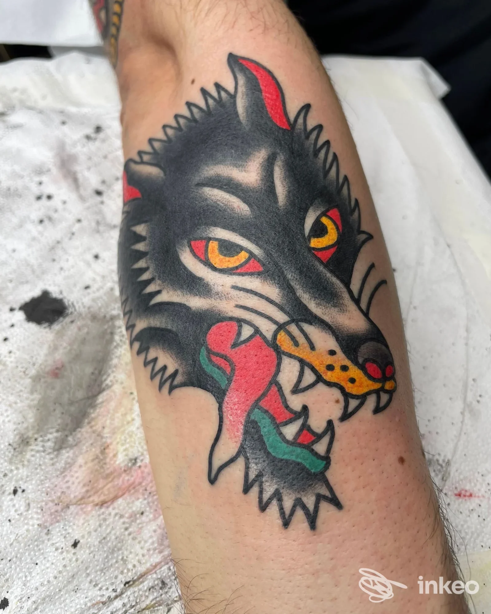 Tatuaggio a colori di testa di lupo sull'avambraccio, Slow Horse Tattoo Club, Ferrara.