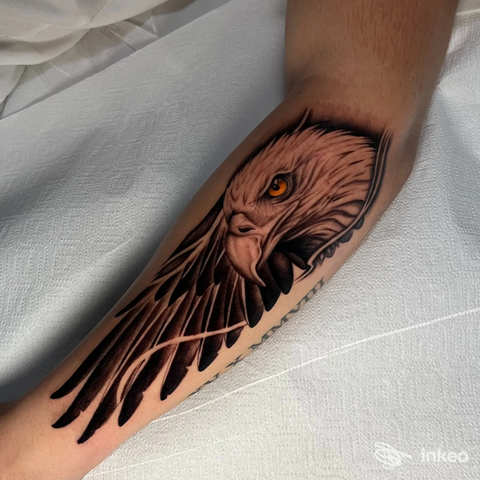 Tatuaggio realistico di un'aquila sull'avambraccio, dettagli in nero e ocra con occhio giallo, realizzato da Slow Horse tattoo club a Ferrara.