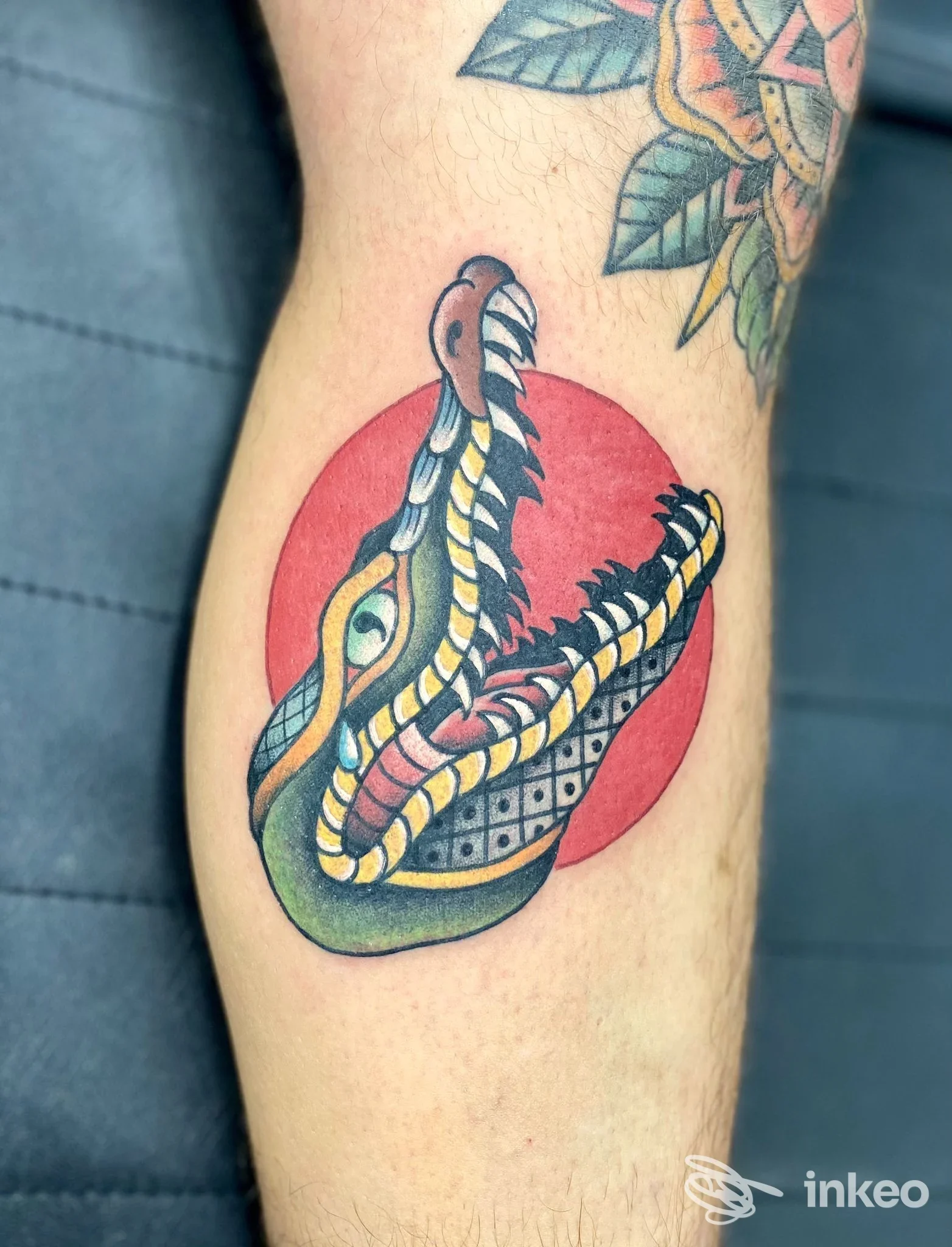 Tatuaggio tradizionale a colori della testa di un coccodrillo su avambraccio, con cerchio rosso. Magma Tattoo Club, Portici.